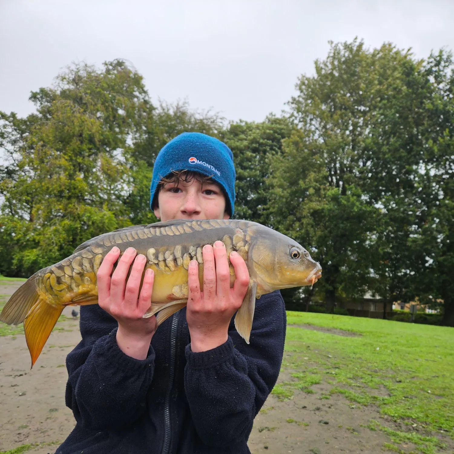 Mirror carp caught on Fishbrain