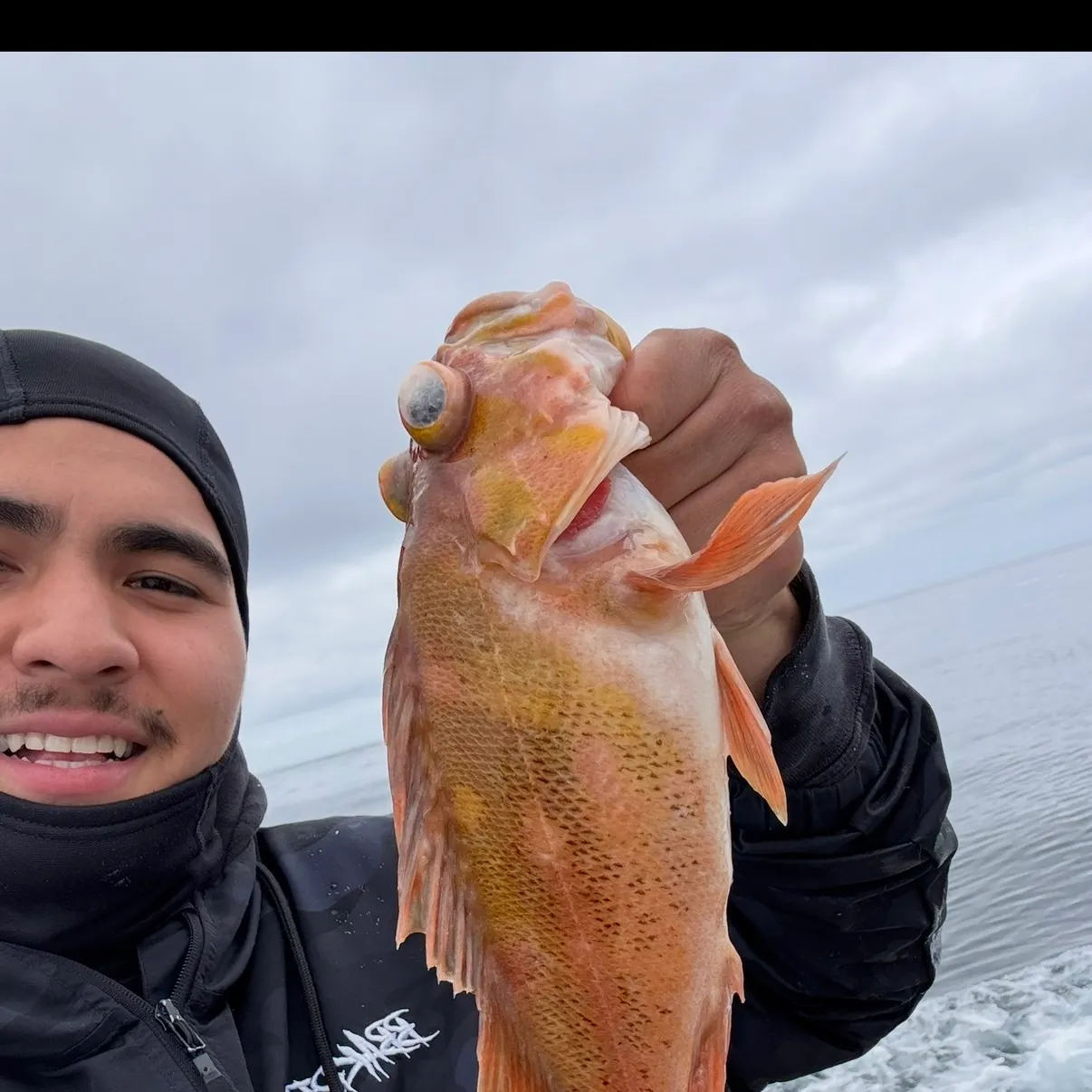 The most recent Canary rockfish catches on Fishbrain