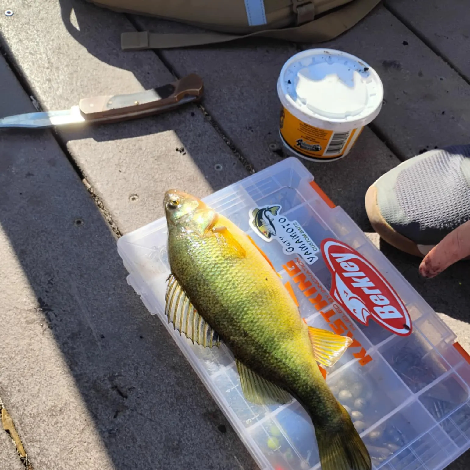 angler catch