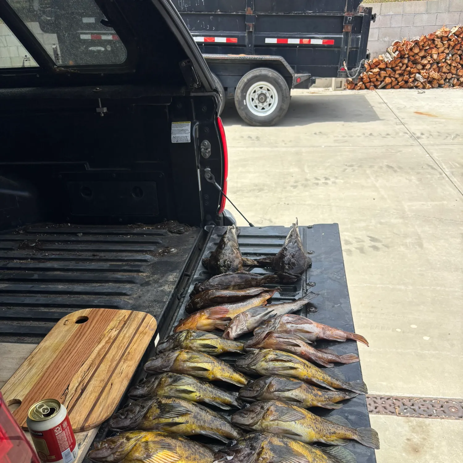 The most recent Black and yellow rockfish catches on Fishbrain