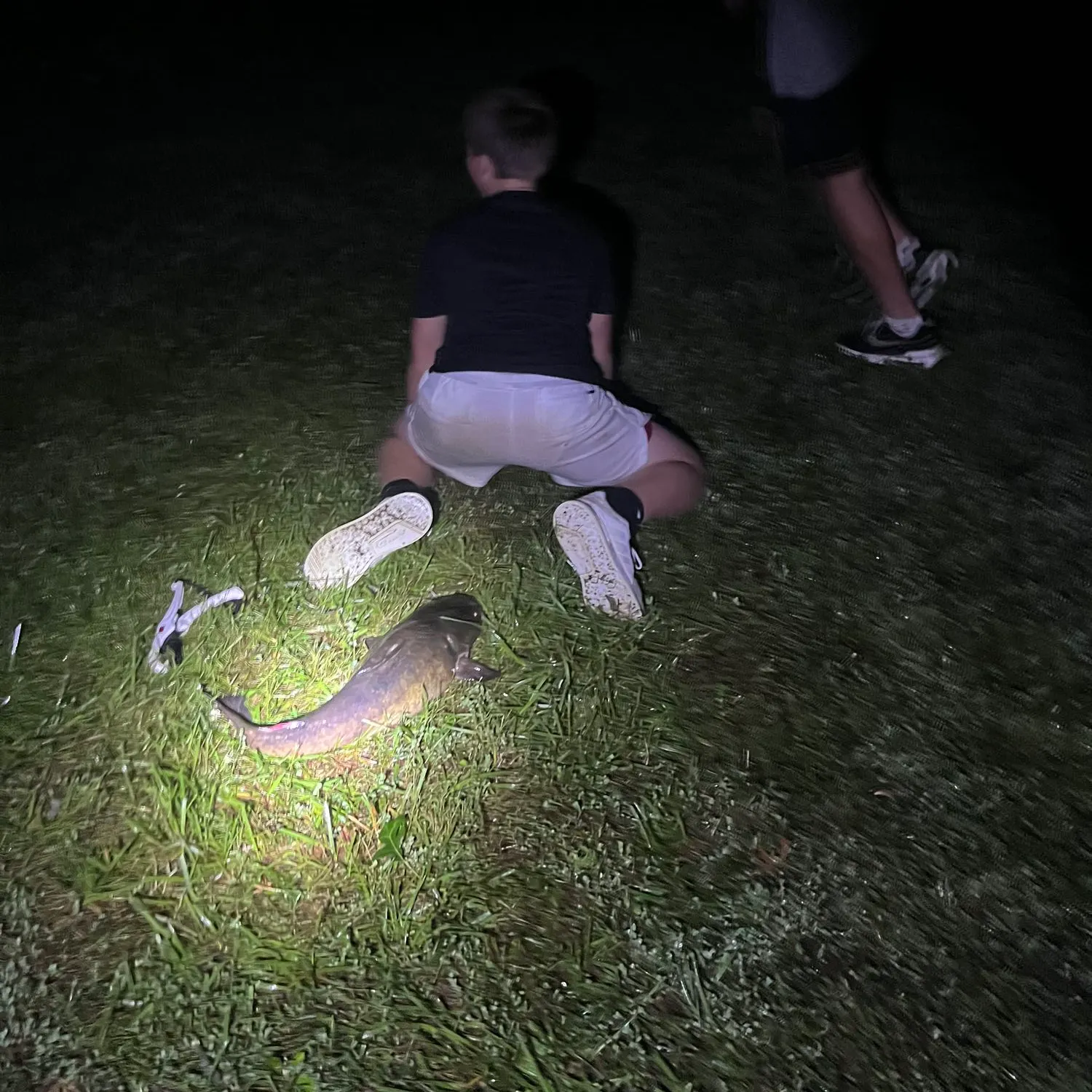Channel catfish caught on Fishbrain
