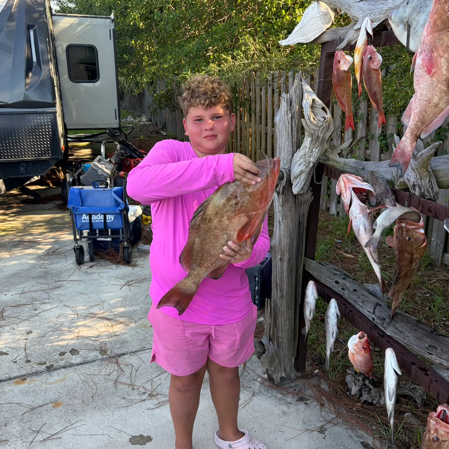 recently logged catches