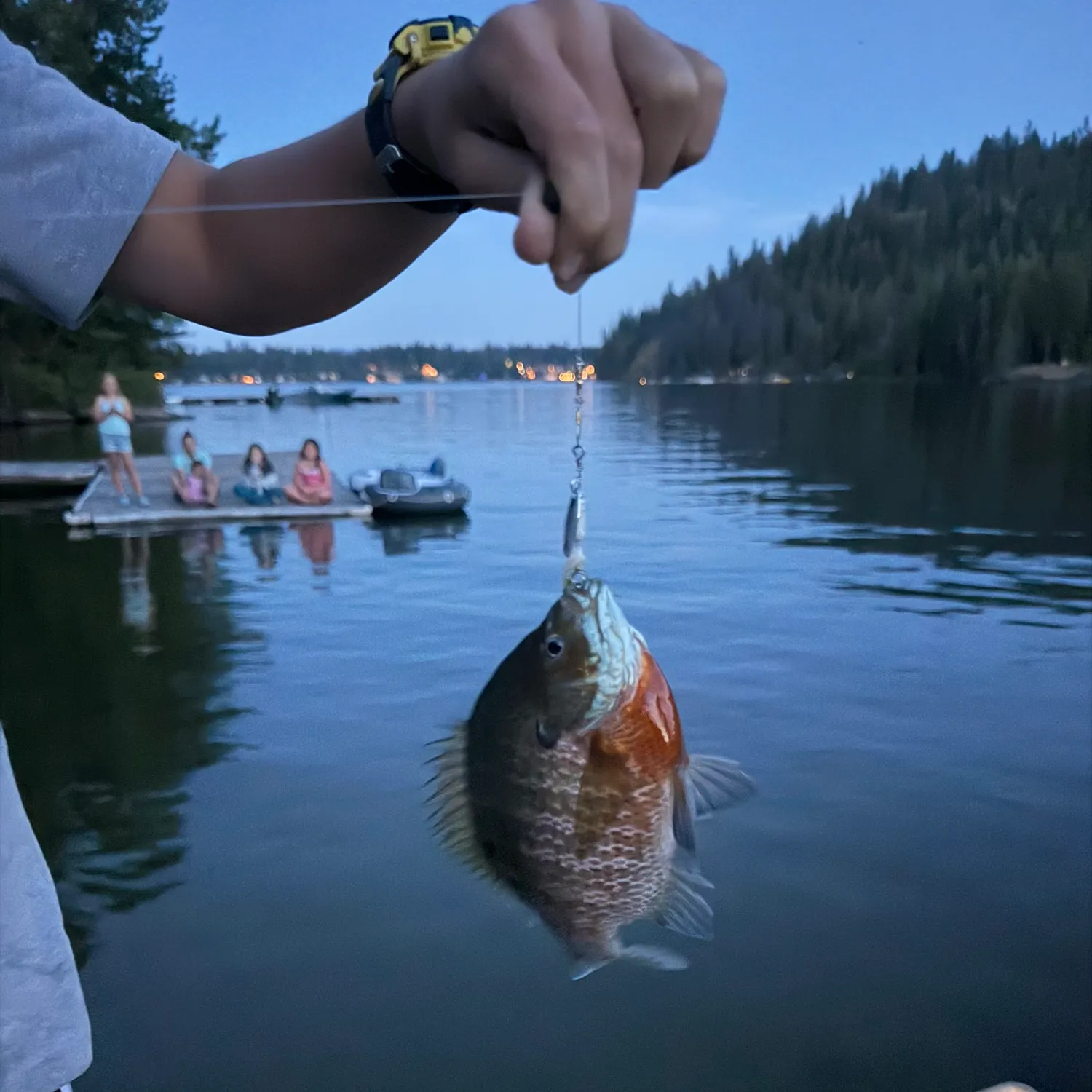 catch