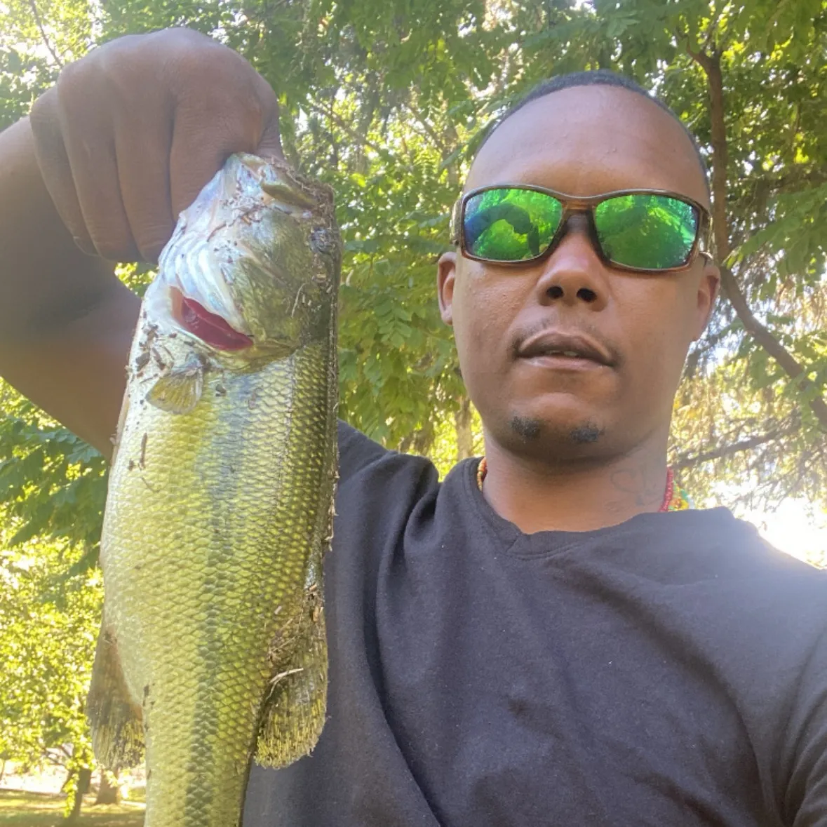 Largemouth bass caught on Fishbrain