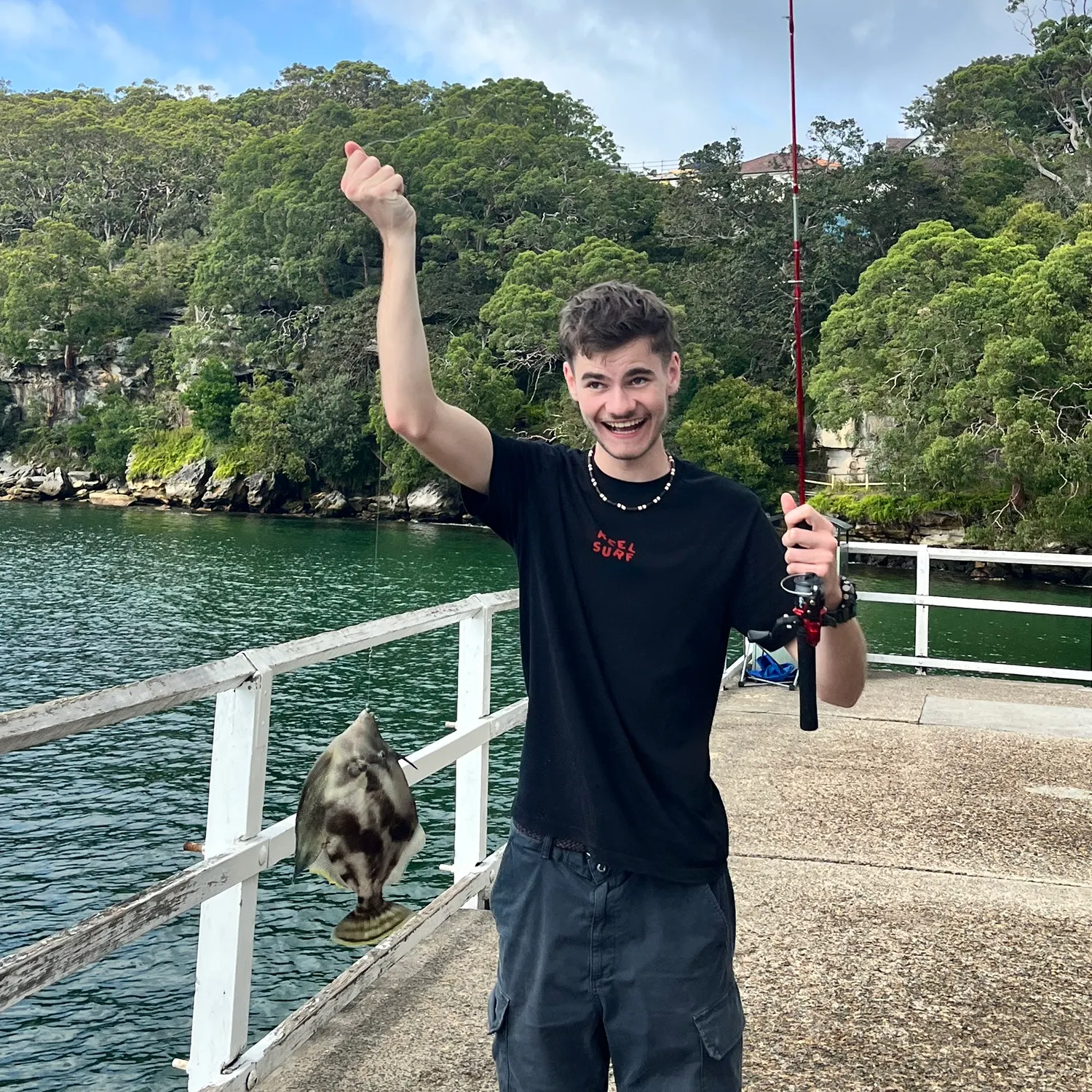 The most recent Fan-bellied leatherjacket catches on Fishbrain