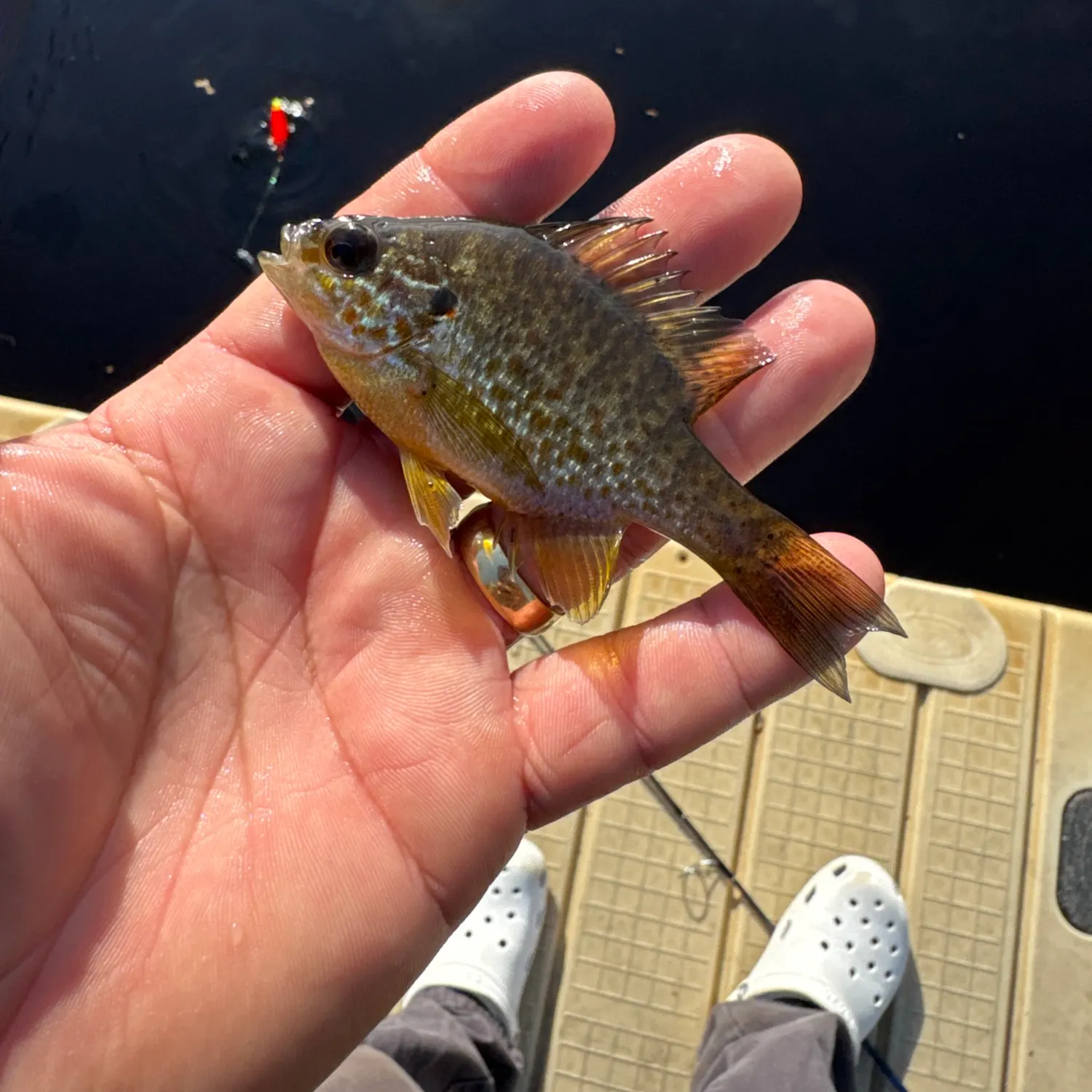 catch
