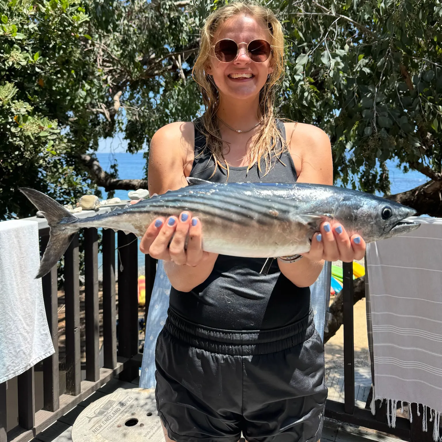The most recent Eastern Pacific bonito catches on Fishbrain