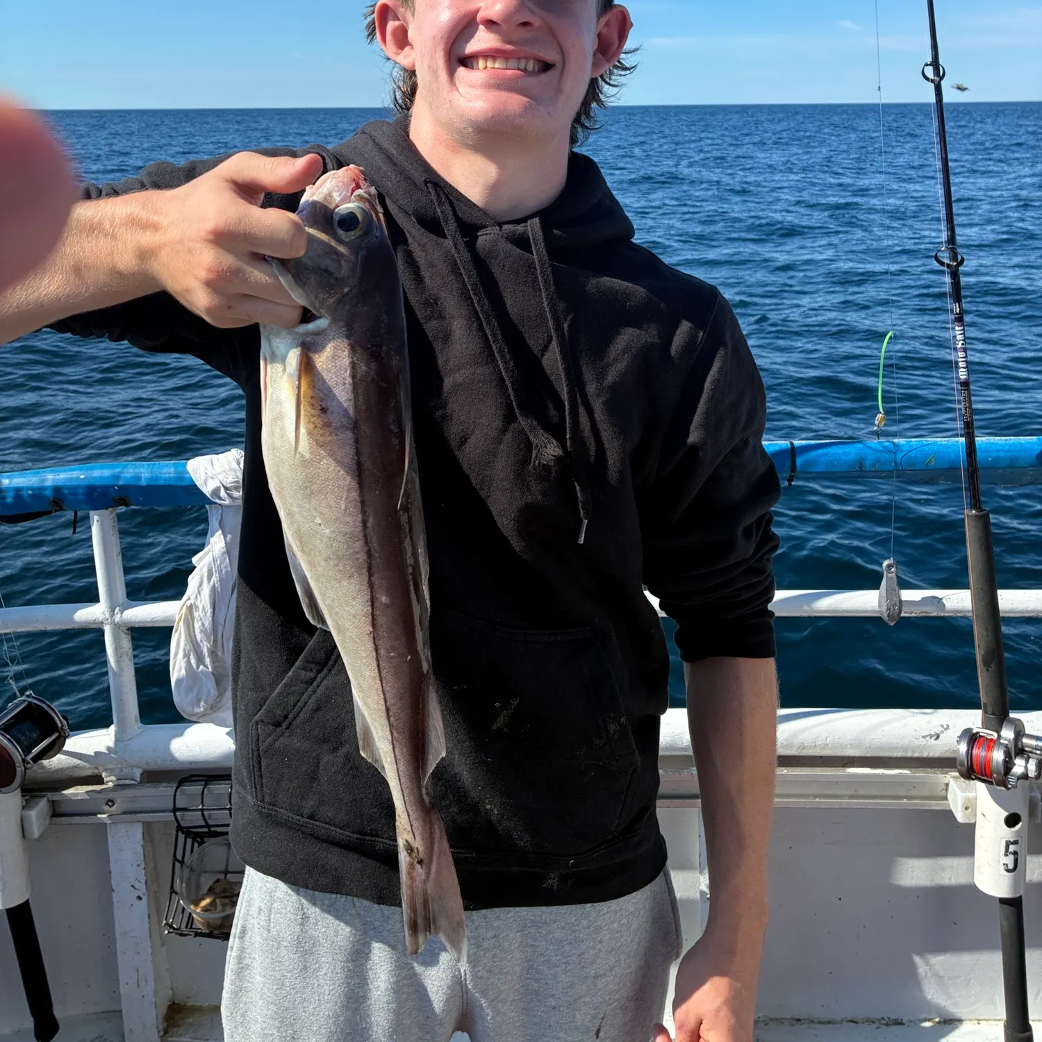 The most recent Haddock catches on Fishbrain