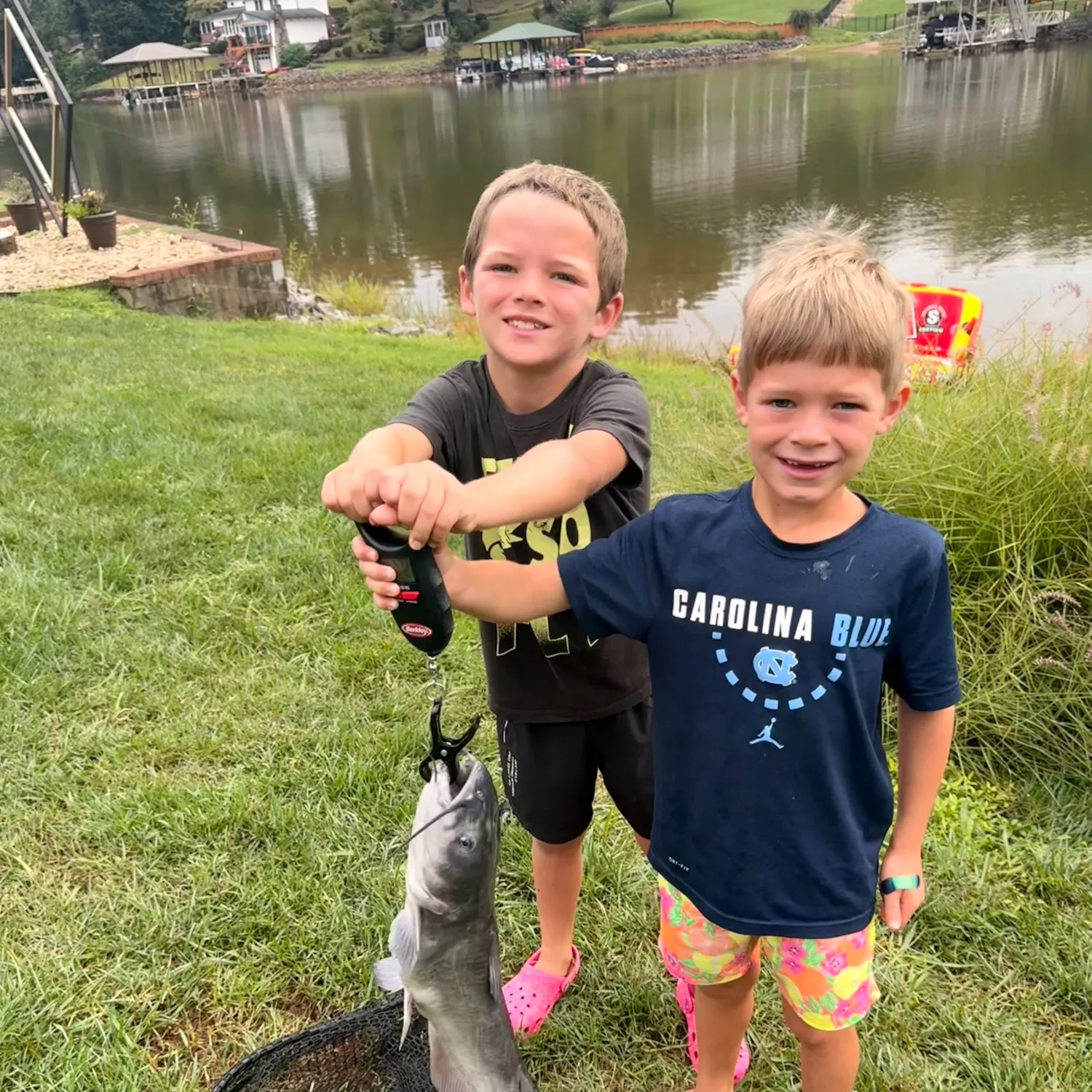 Blue catfish caught on Fishbrain
