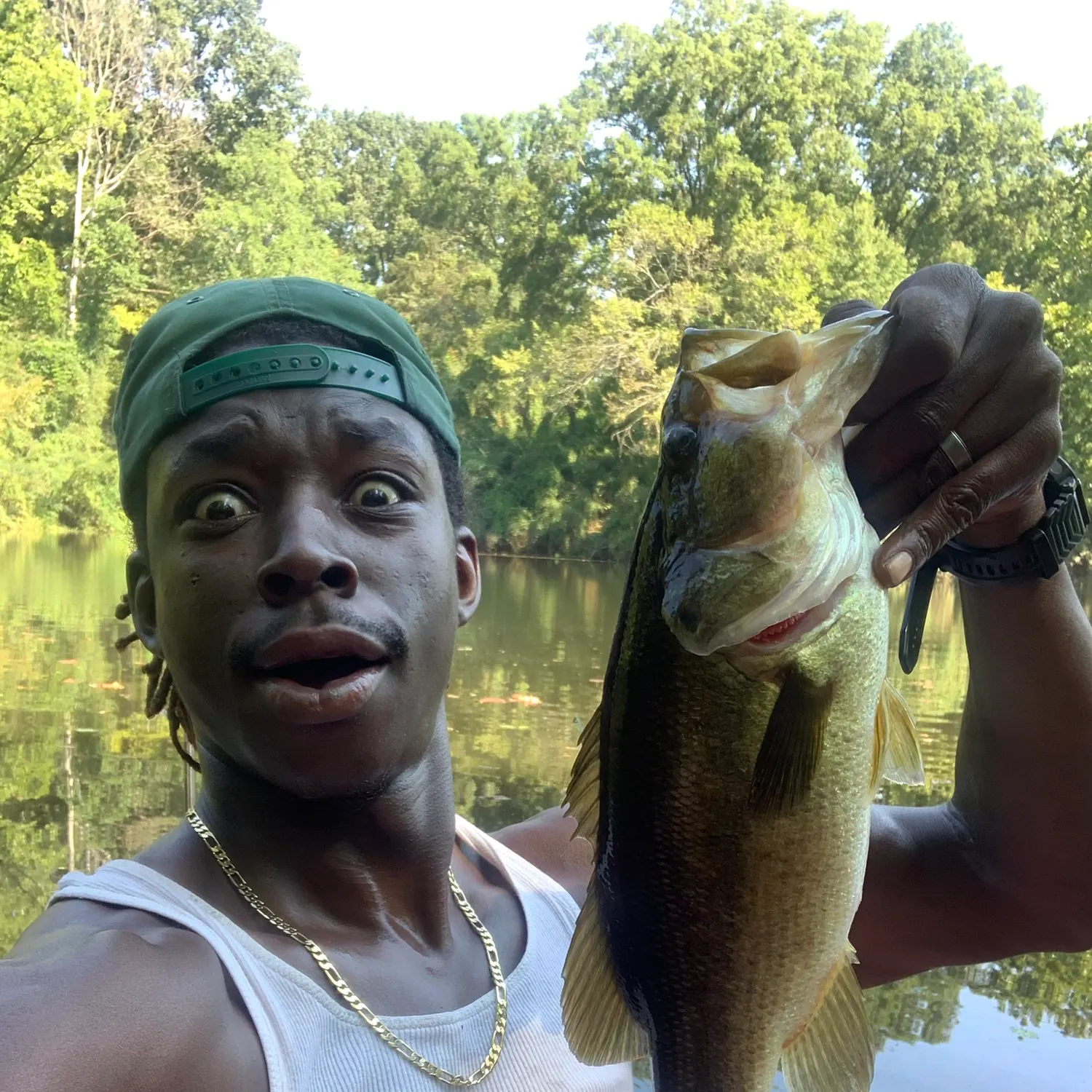 Largemouth bass caught on Fishbrain