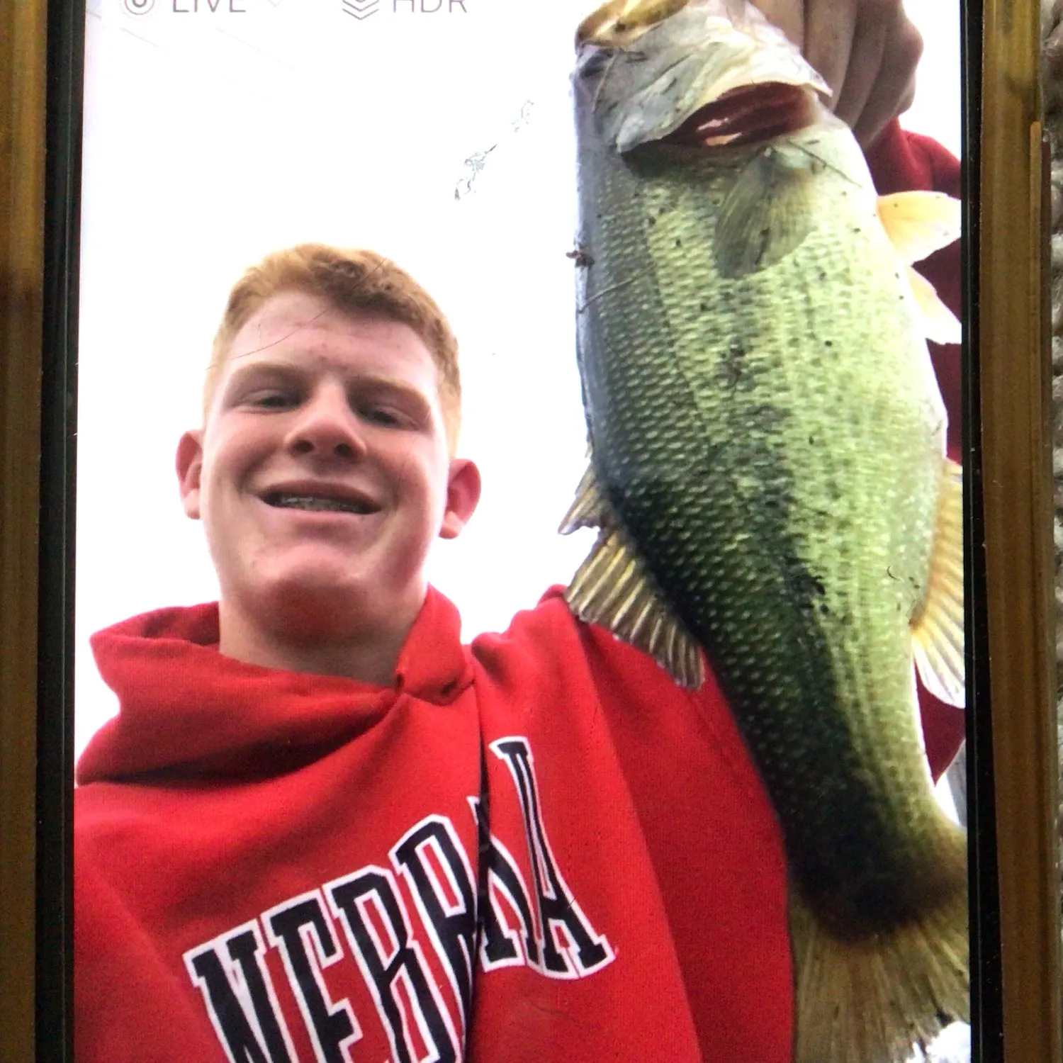 Largemouth bass caught on Fishbrain