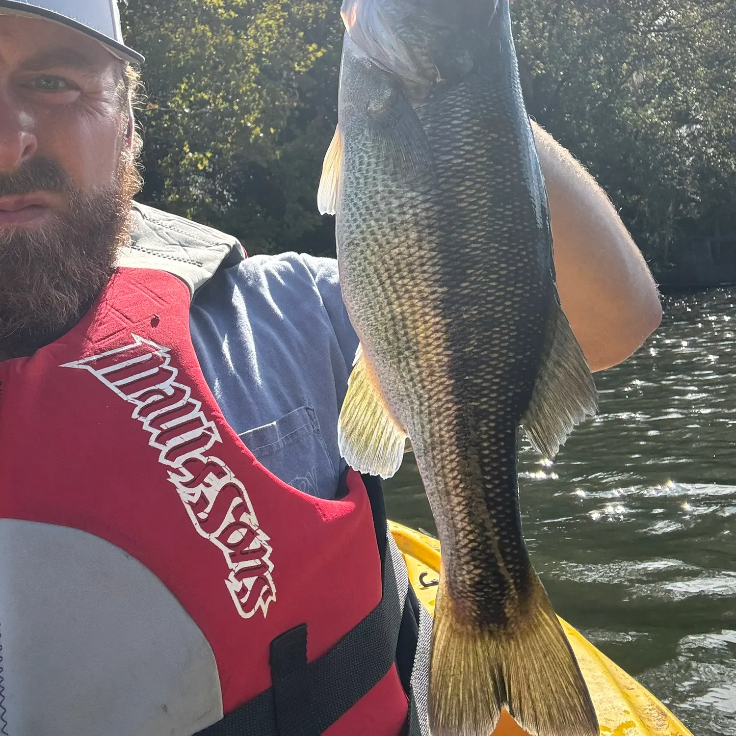 Largemouth bass caught on Fishbrain