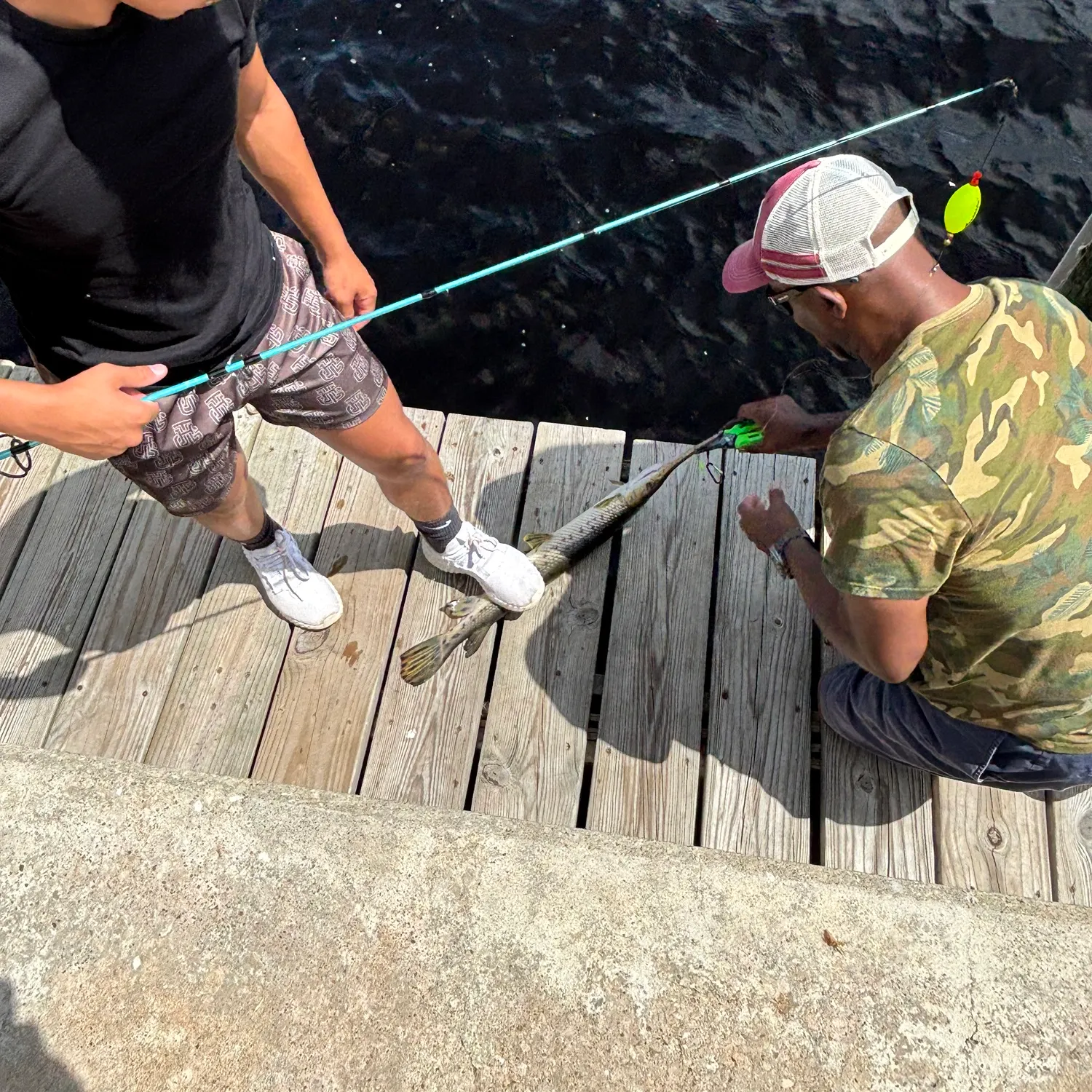 recently logged catches