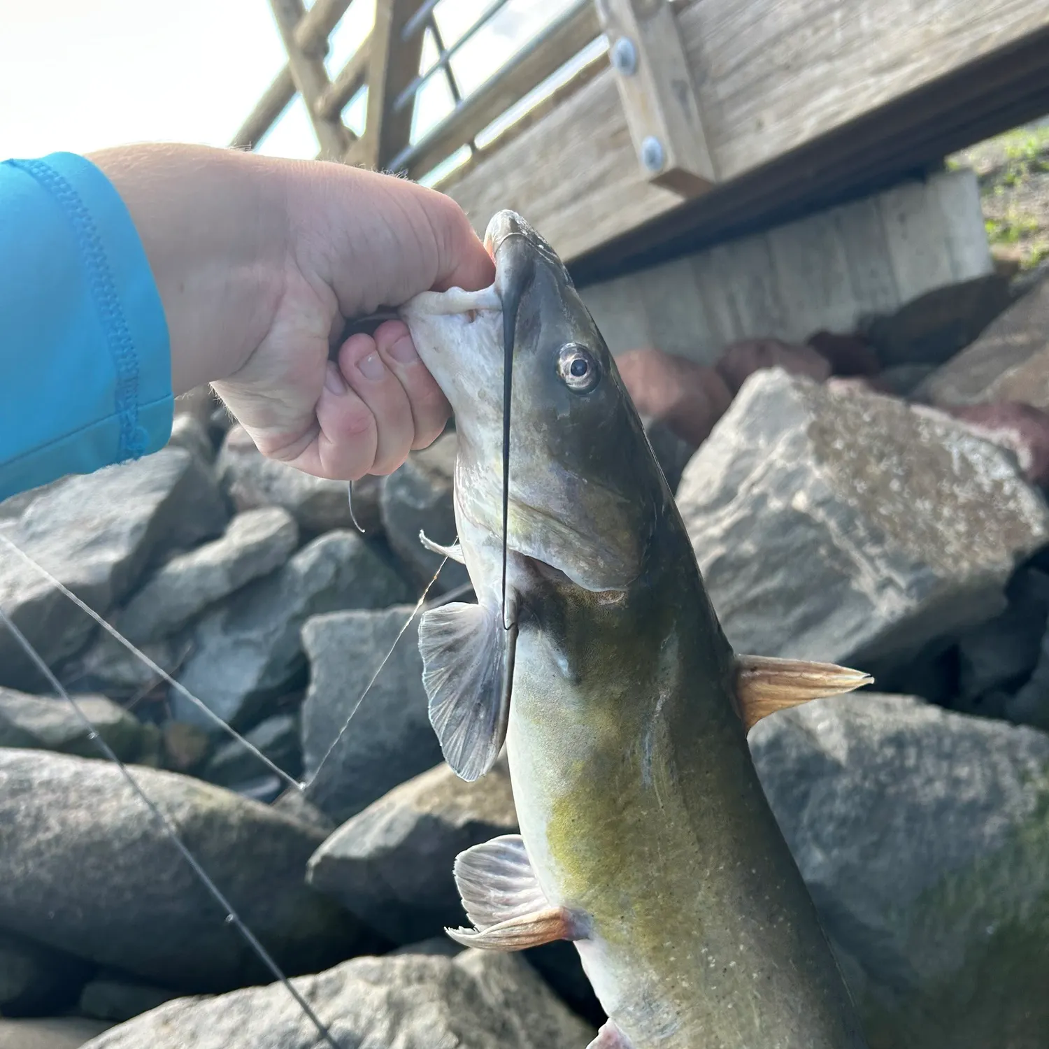 catch