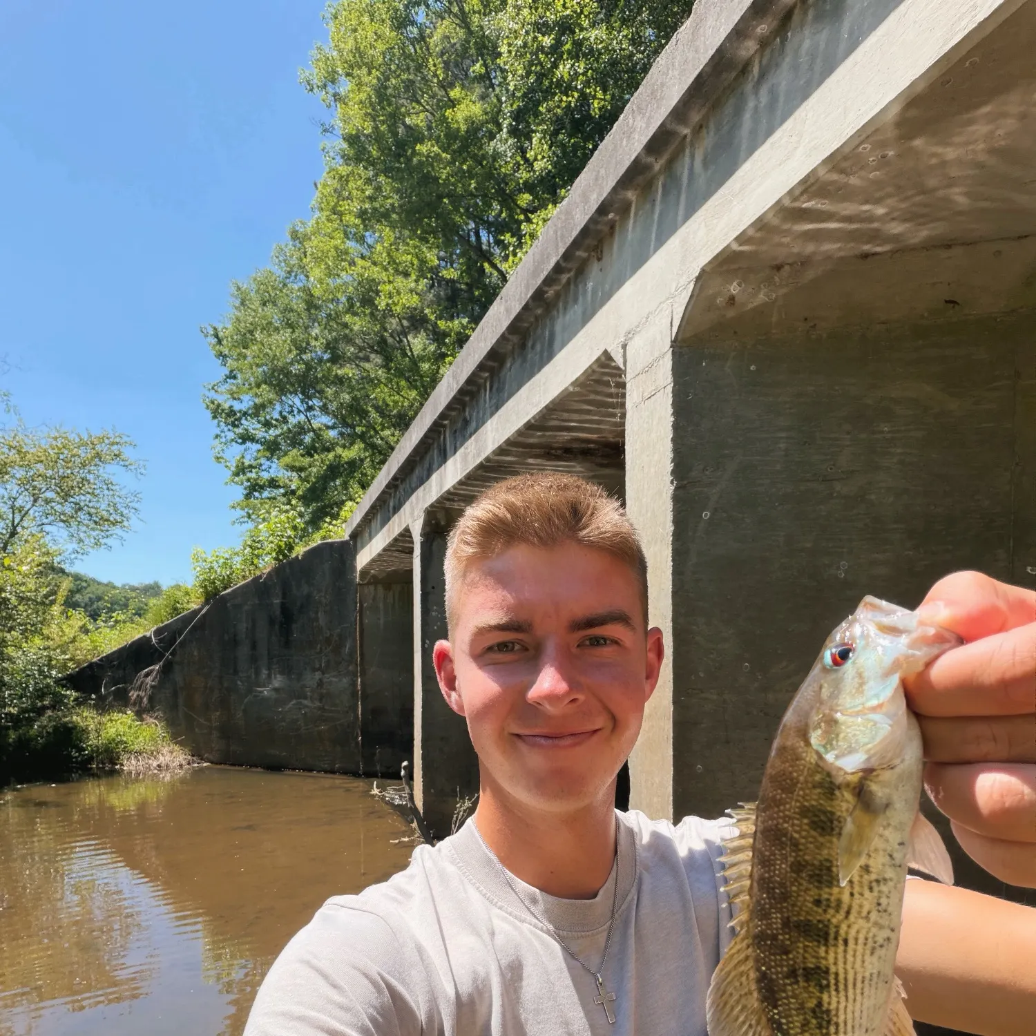The most recent Bartram's bass catches on Fishbrain