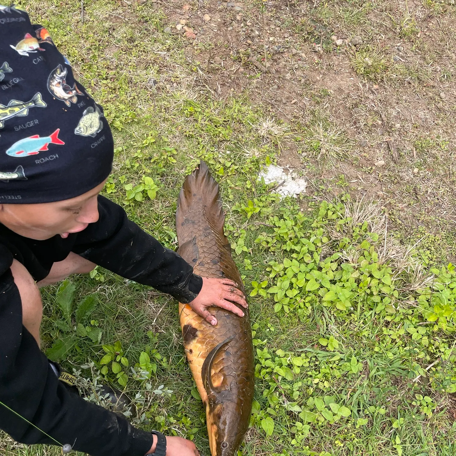 catch