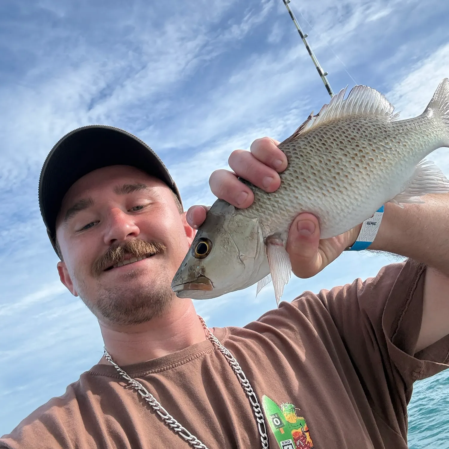 Mangrove snapper caught on Fishbrain