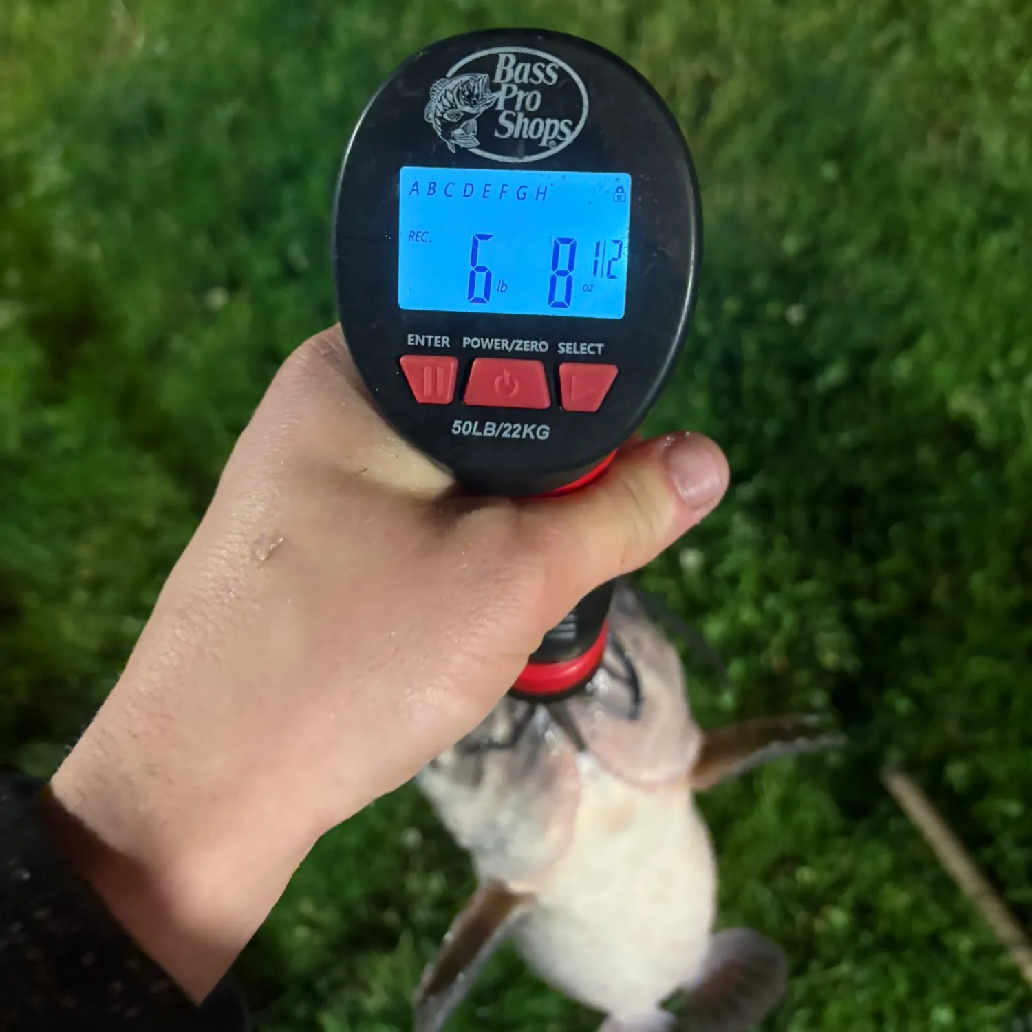 catch