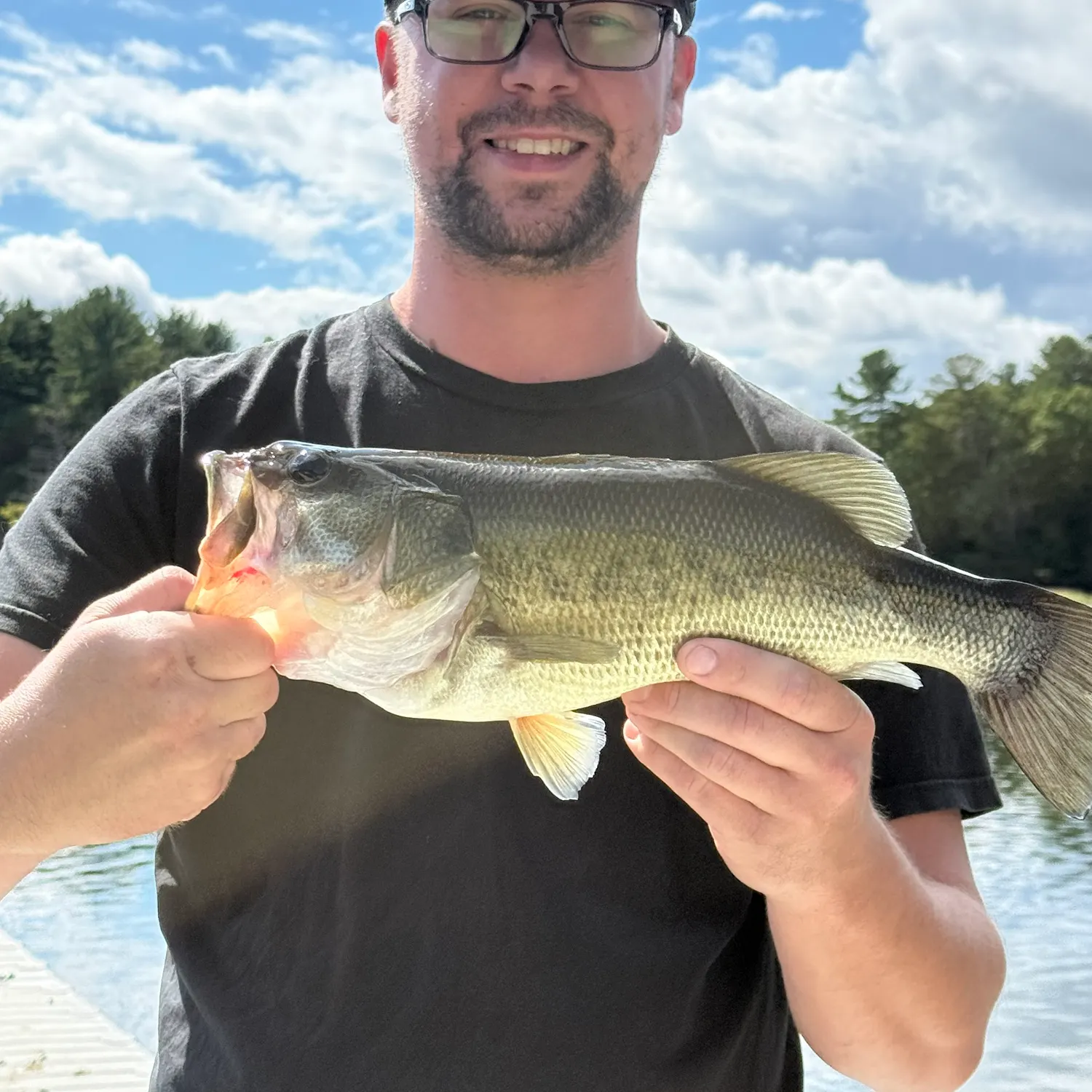 Largemouth bass caught on Fishbrain