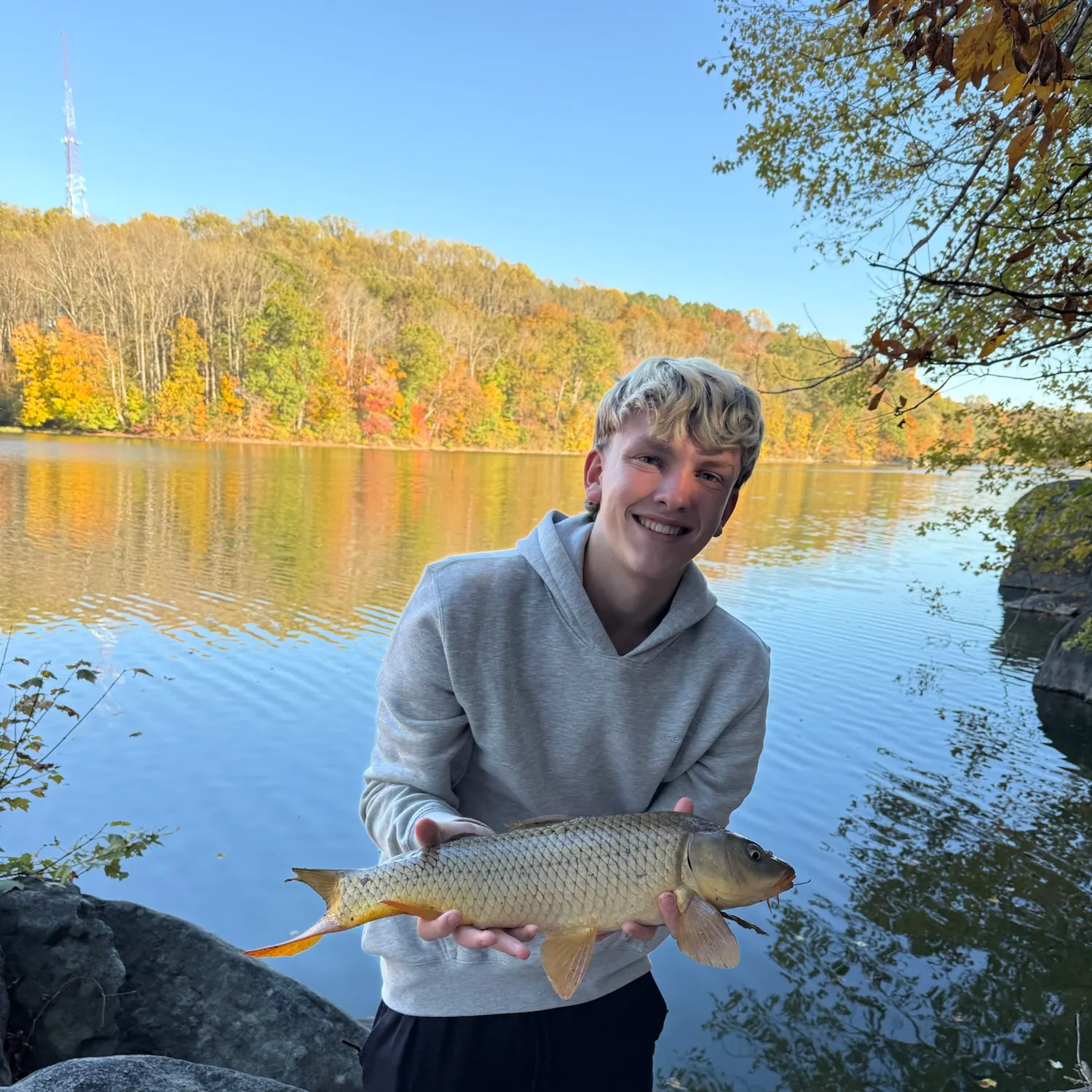 Common carp caught on Fishbrain