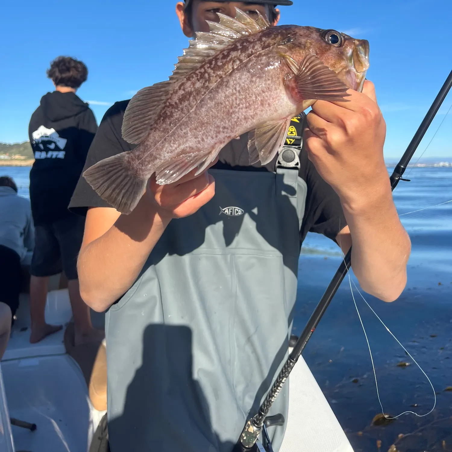 The most recent Brown rockfish catches on Fishbrain