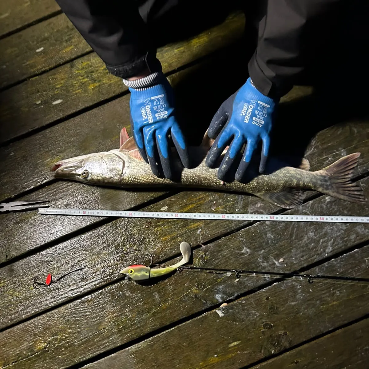 Northern pike caught on Fishbrain