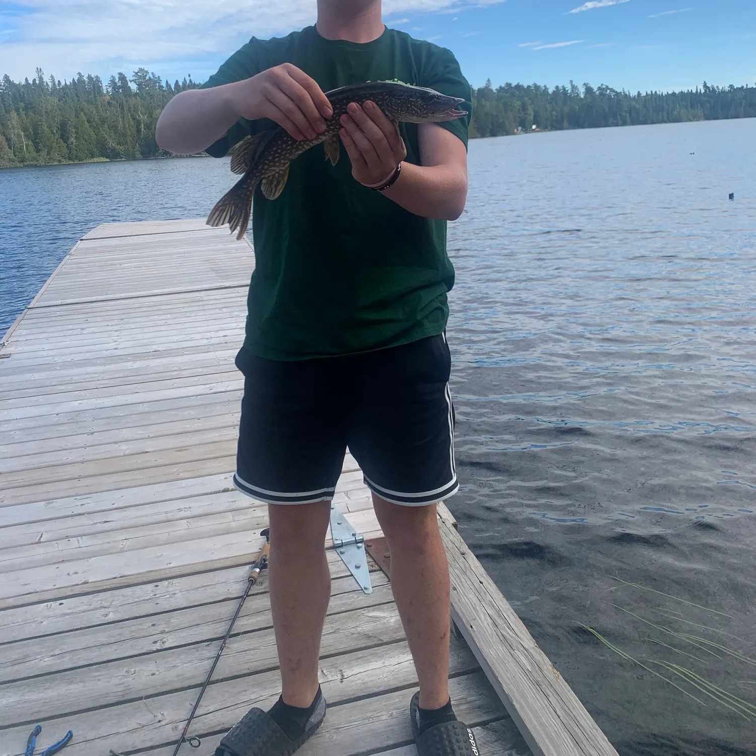 Northern pike caught on Fishbrain