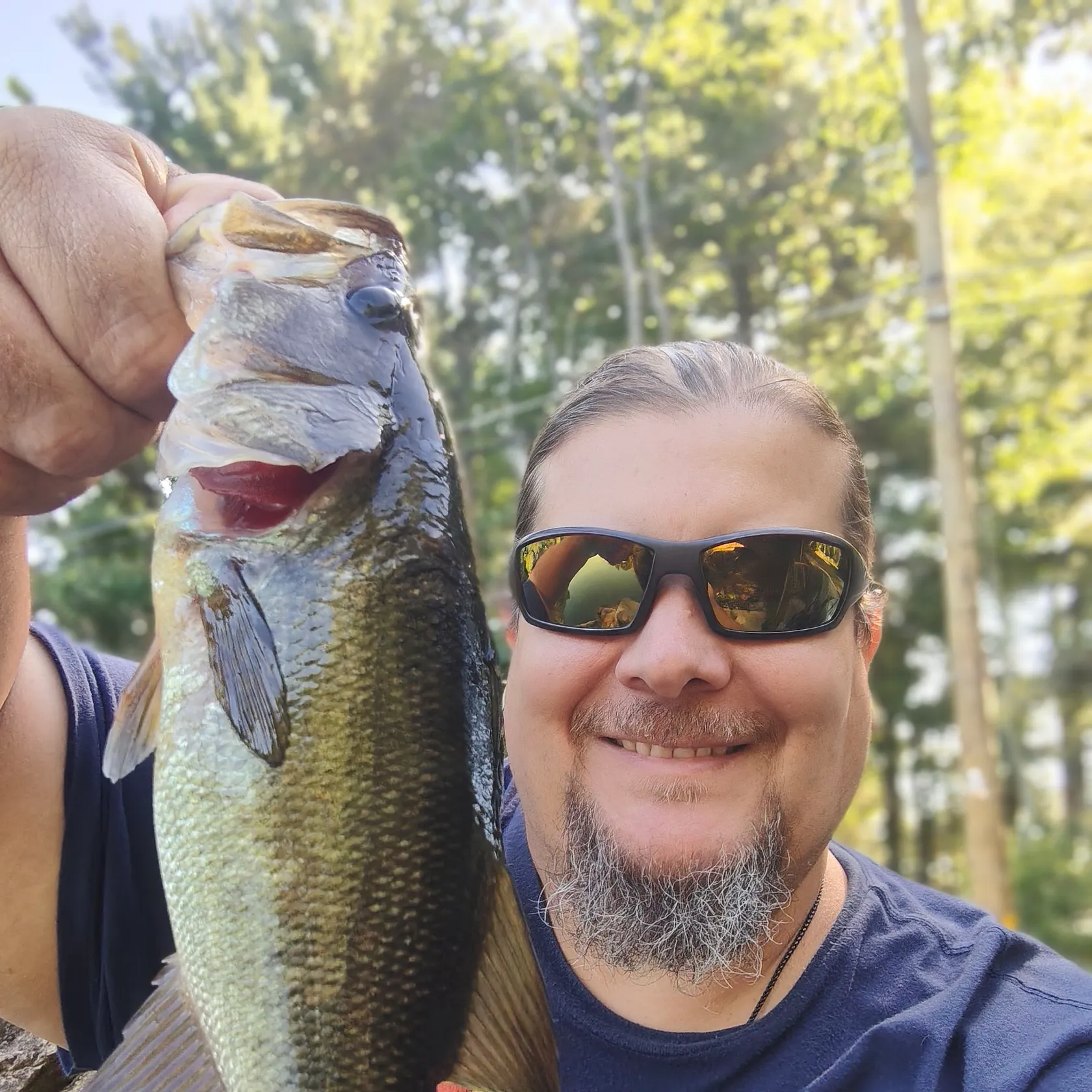 Largemouth bass caught on Fishbrain
