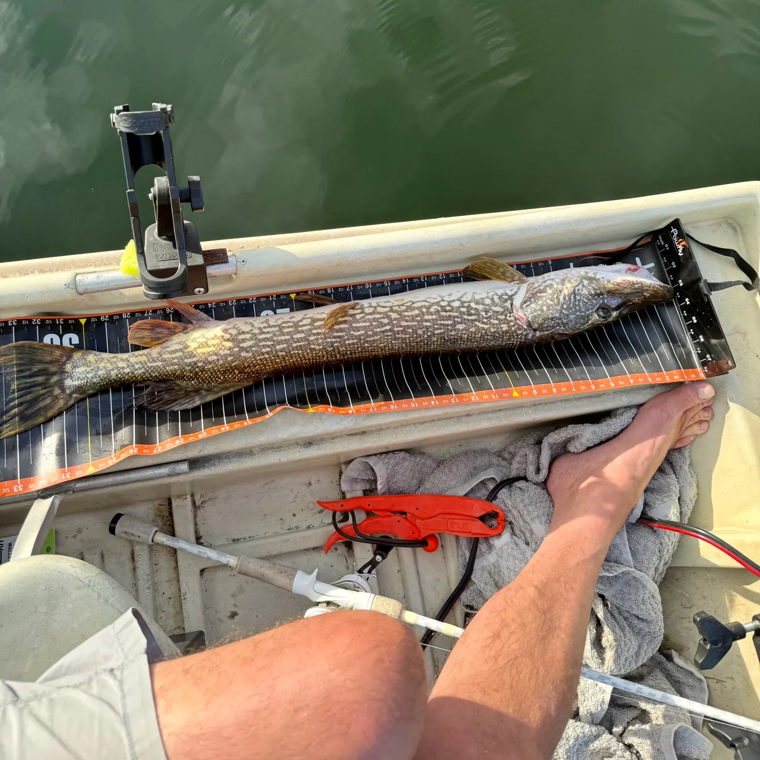 Northern pike caught on Fishbrain