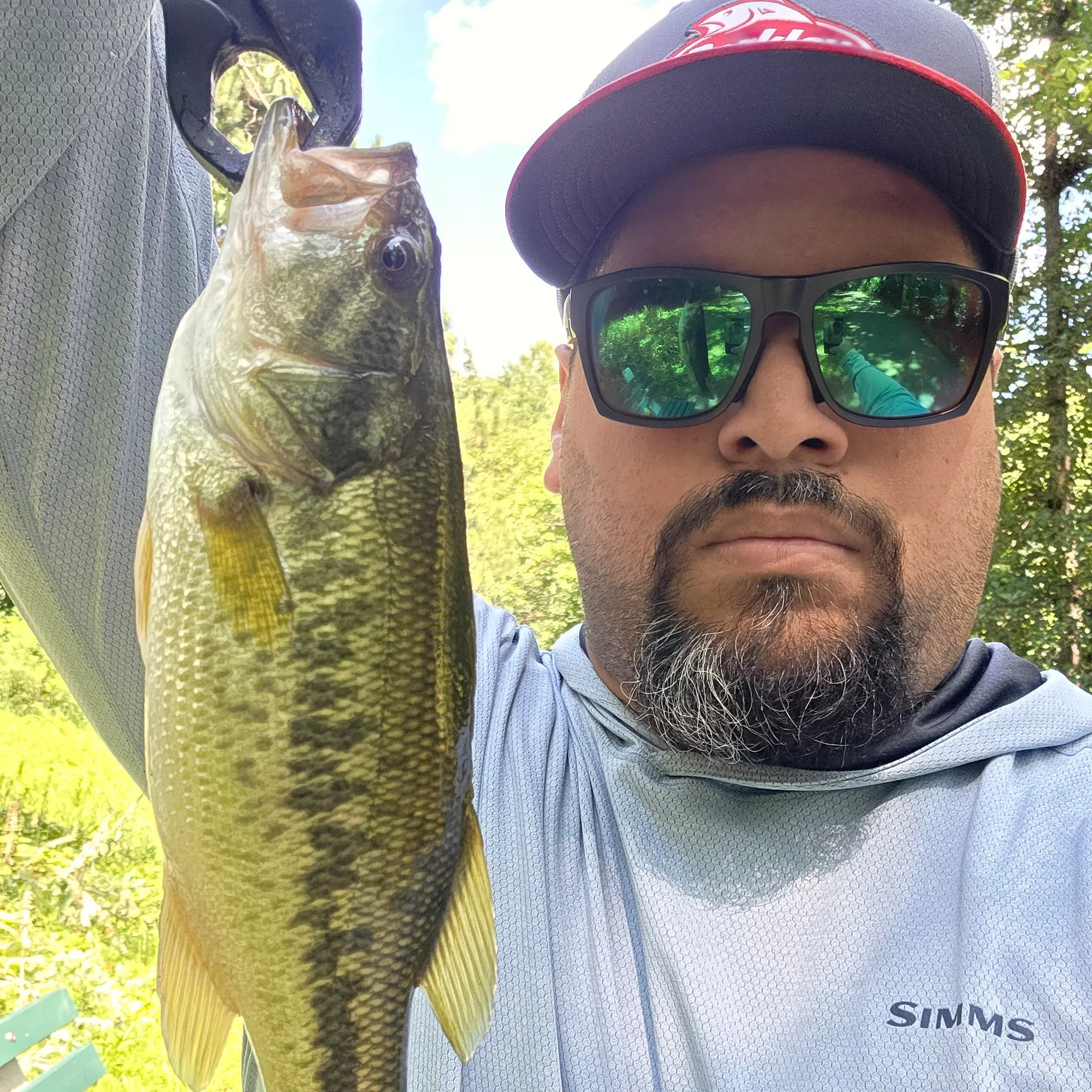 Largemouth bass caught on Fishbrain