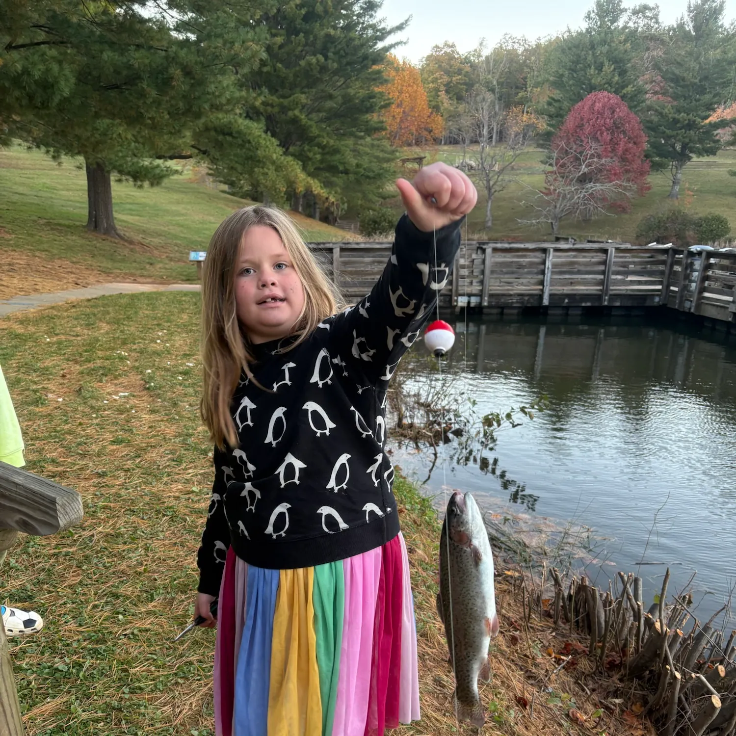 Rainbow trout caught on Fishbrain