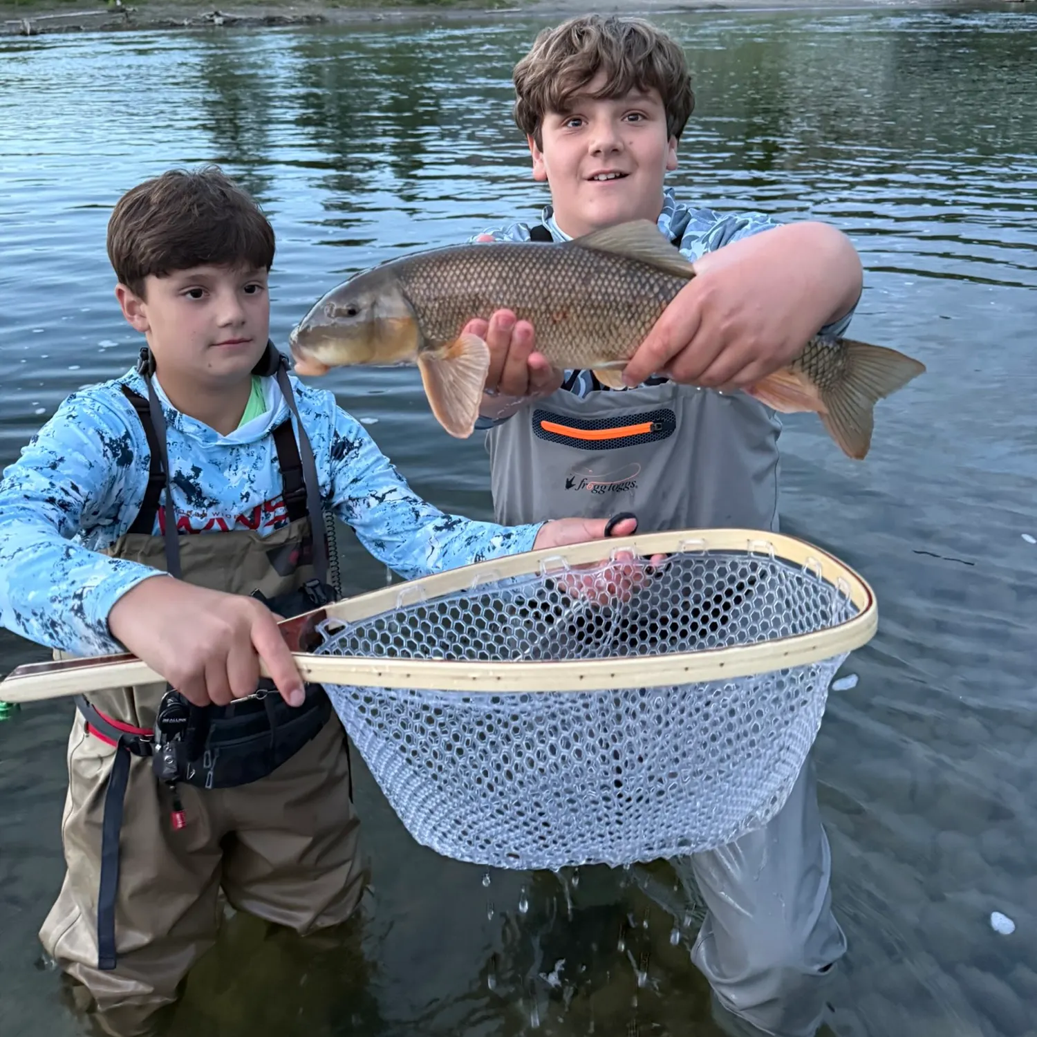 The most recent White sucker catches on Fishbrain