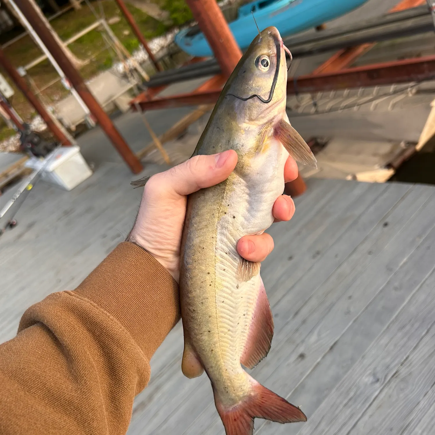 catch