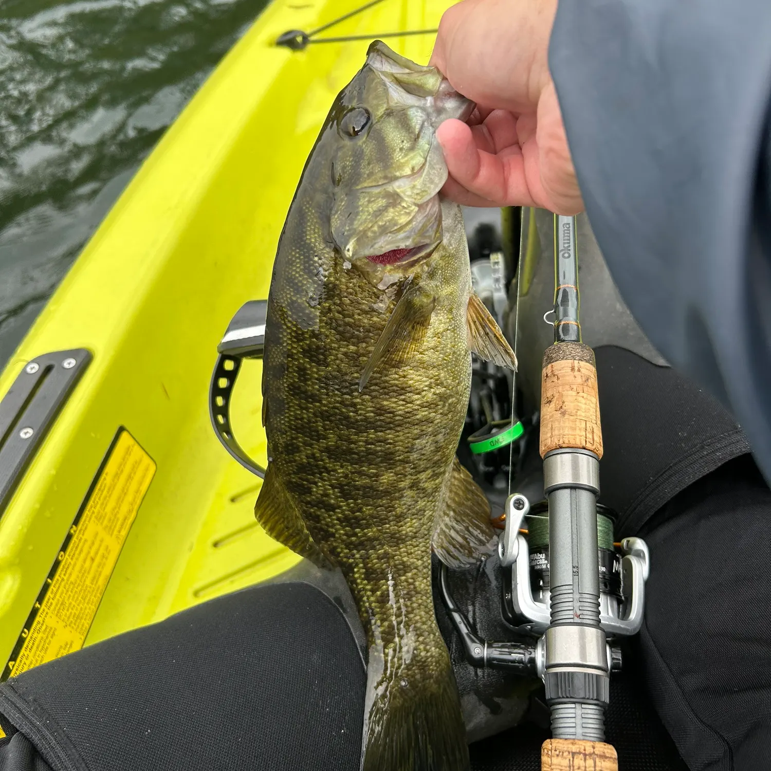 Smallmouth bass caught on Fishbrain