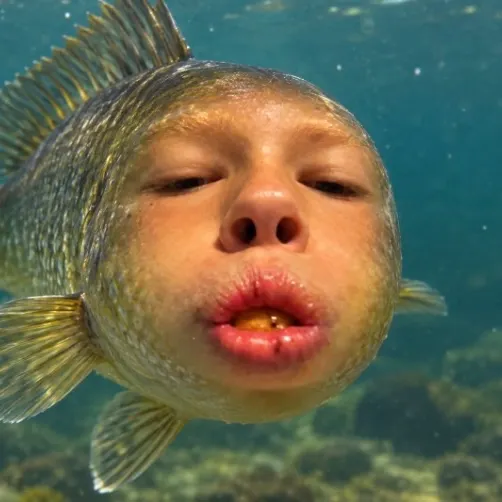 Fish caught on Fishbrain