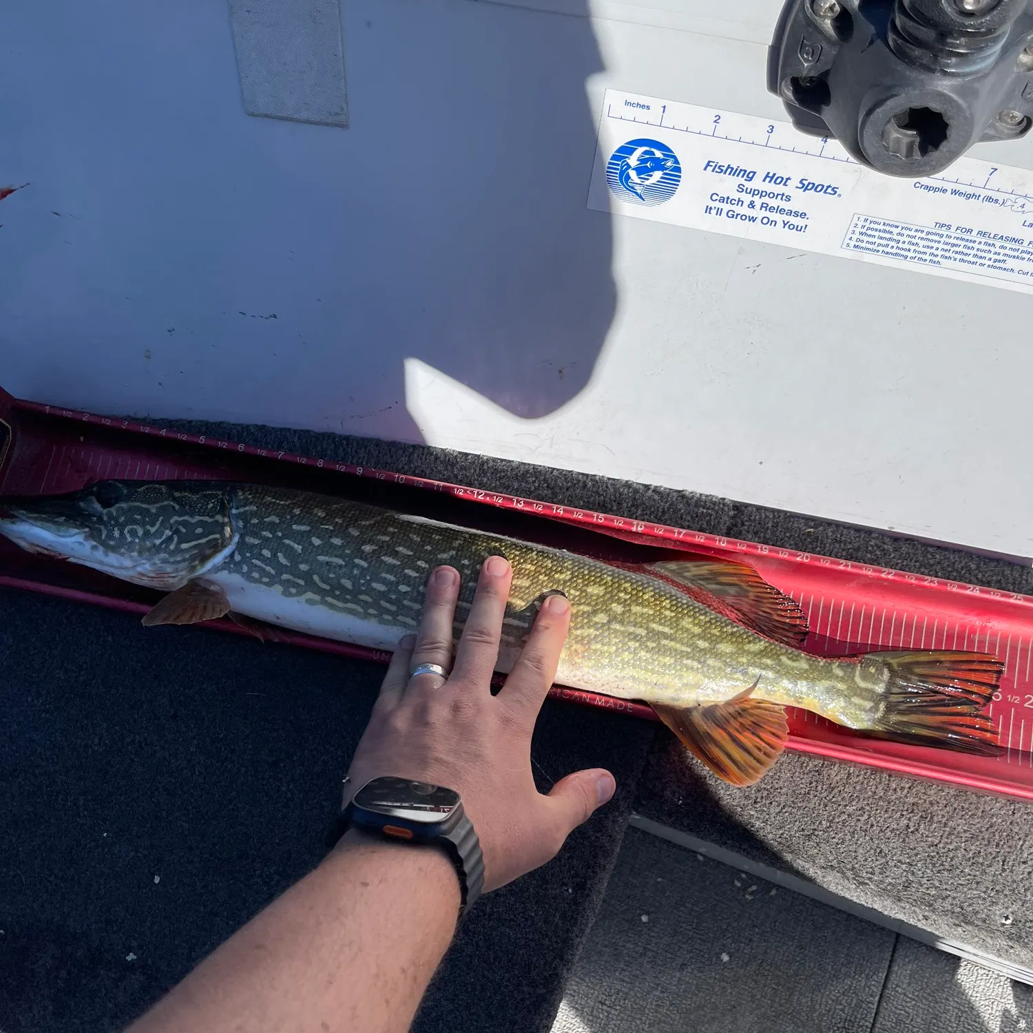 catch