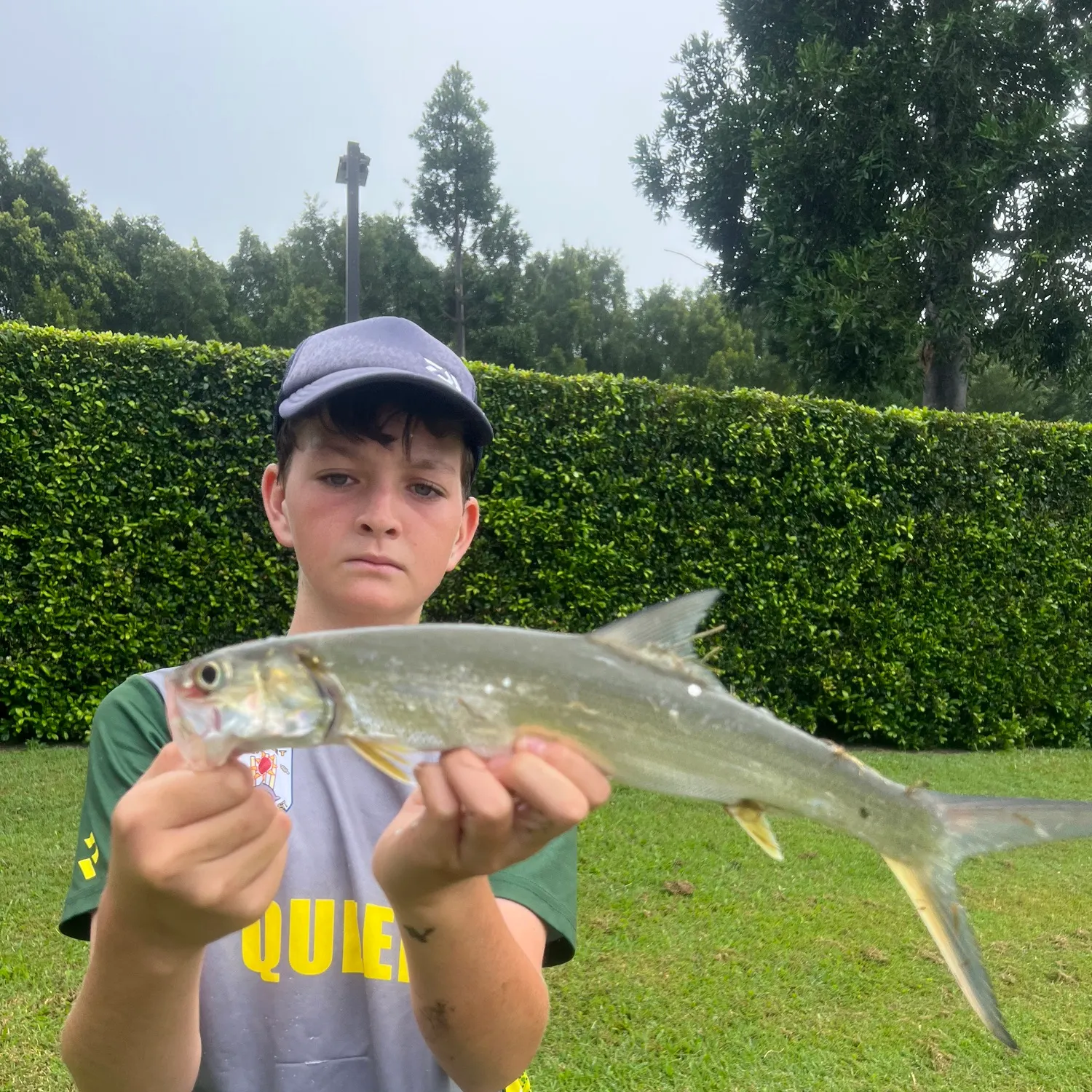 The most recent Hawaiian ladyfish catches on Fishbrain