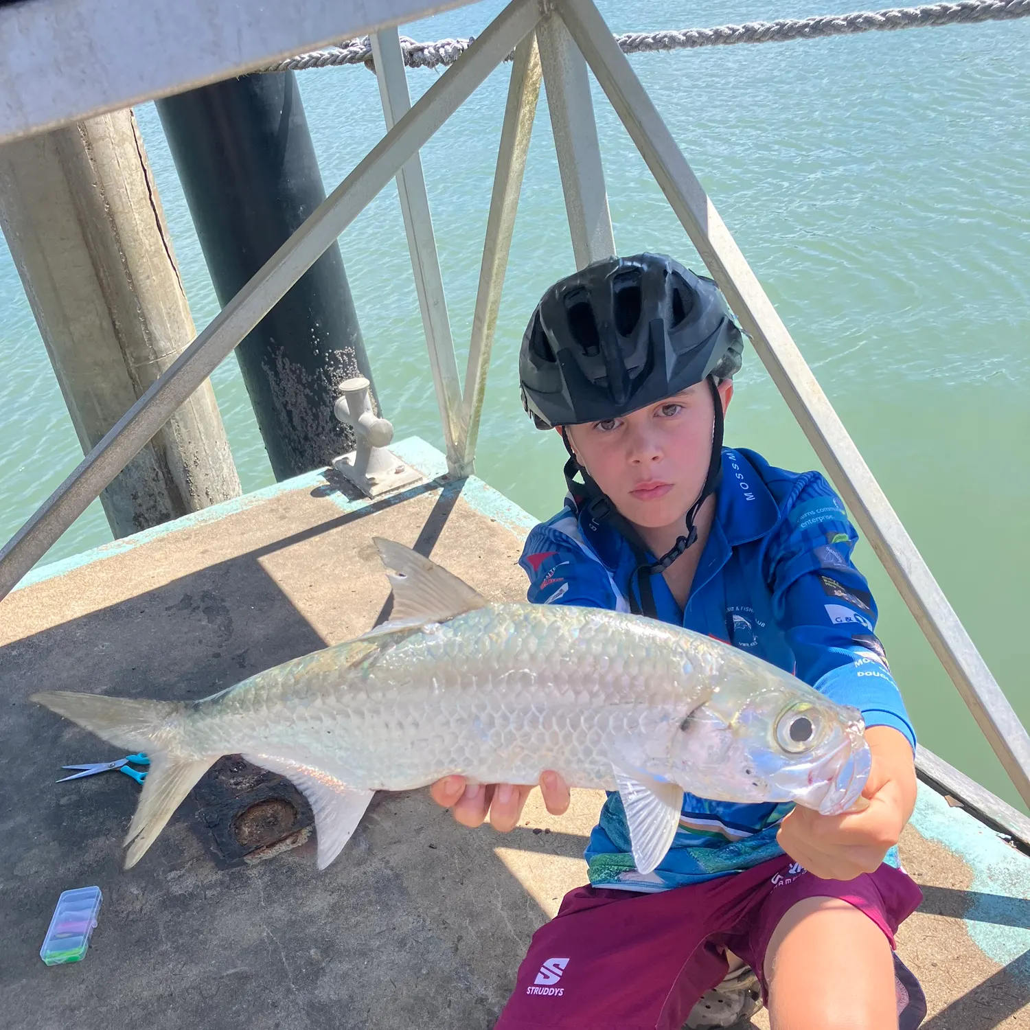 The most recent Indo-Pacific tarpon catches on Fishbrain