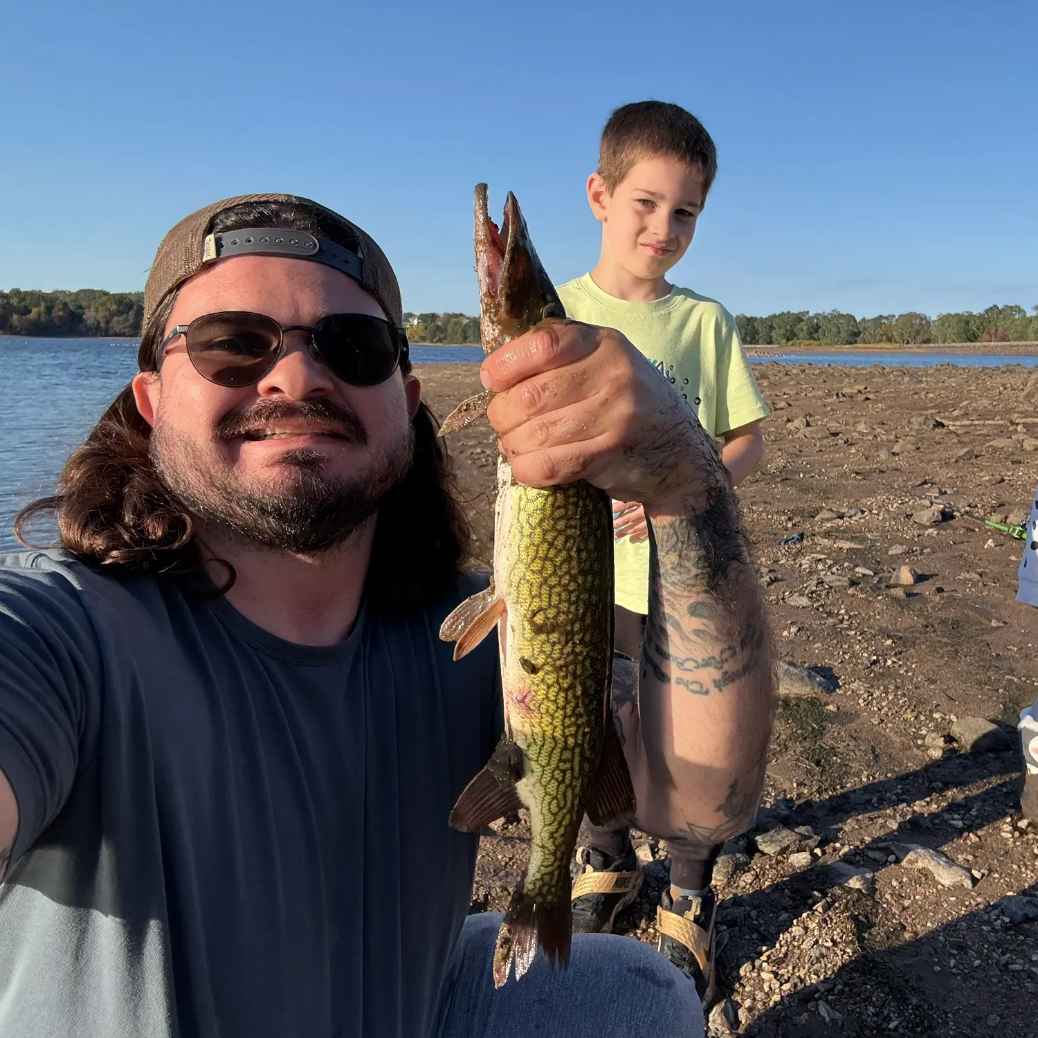 Chain pickerel caught on Fishbrain