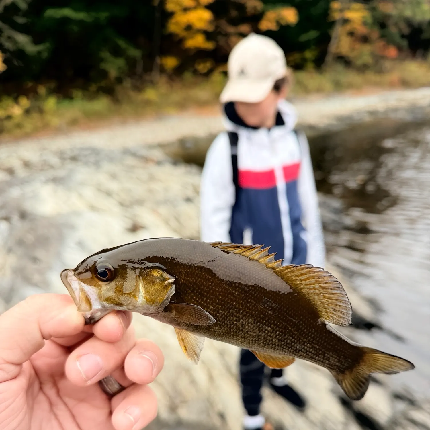 Smallmouth bass caught on Fishbrain