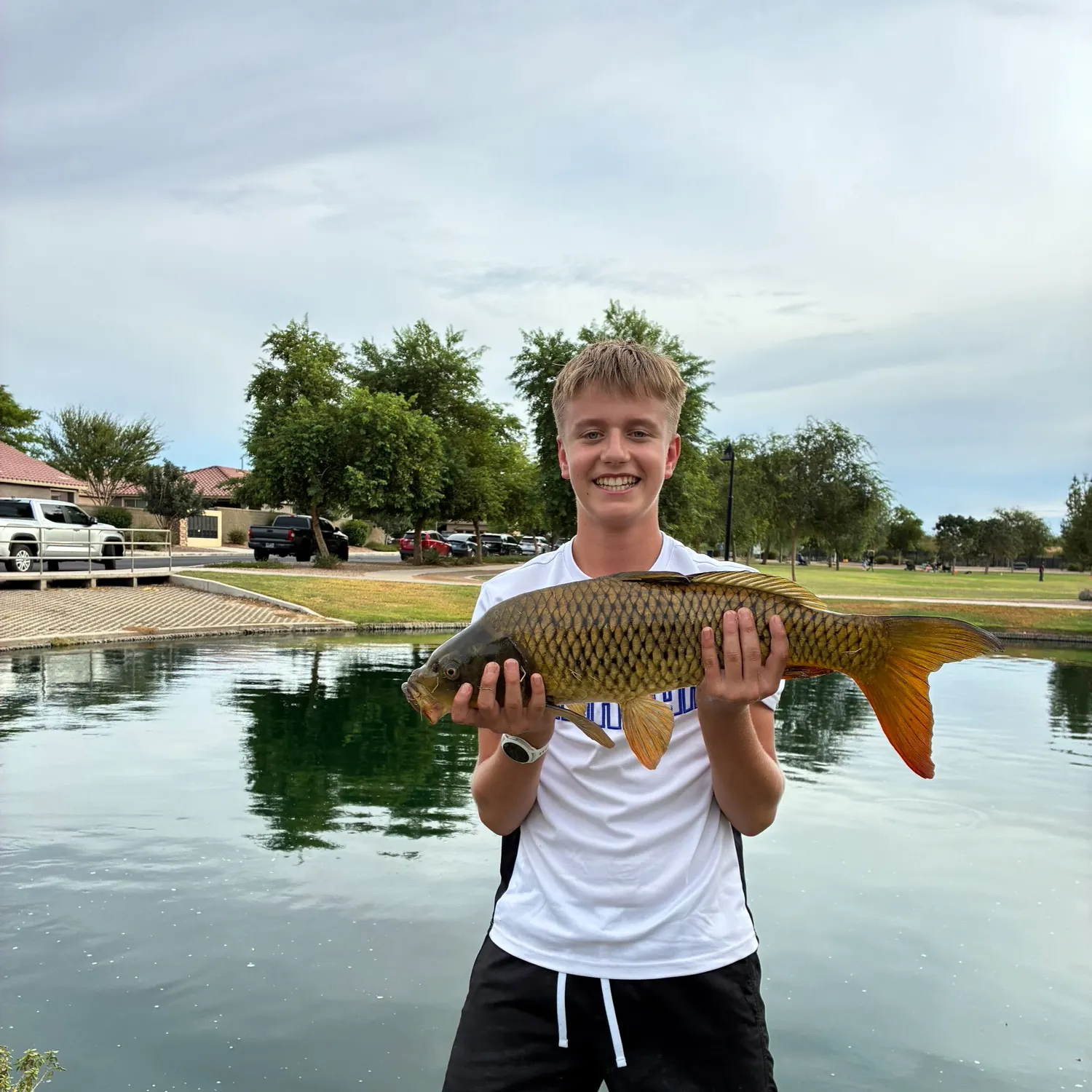 Koi x common carp caught on Fishbrain