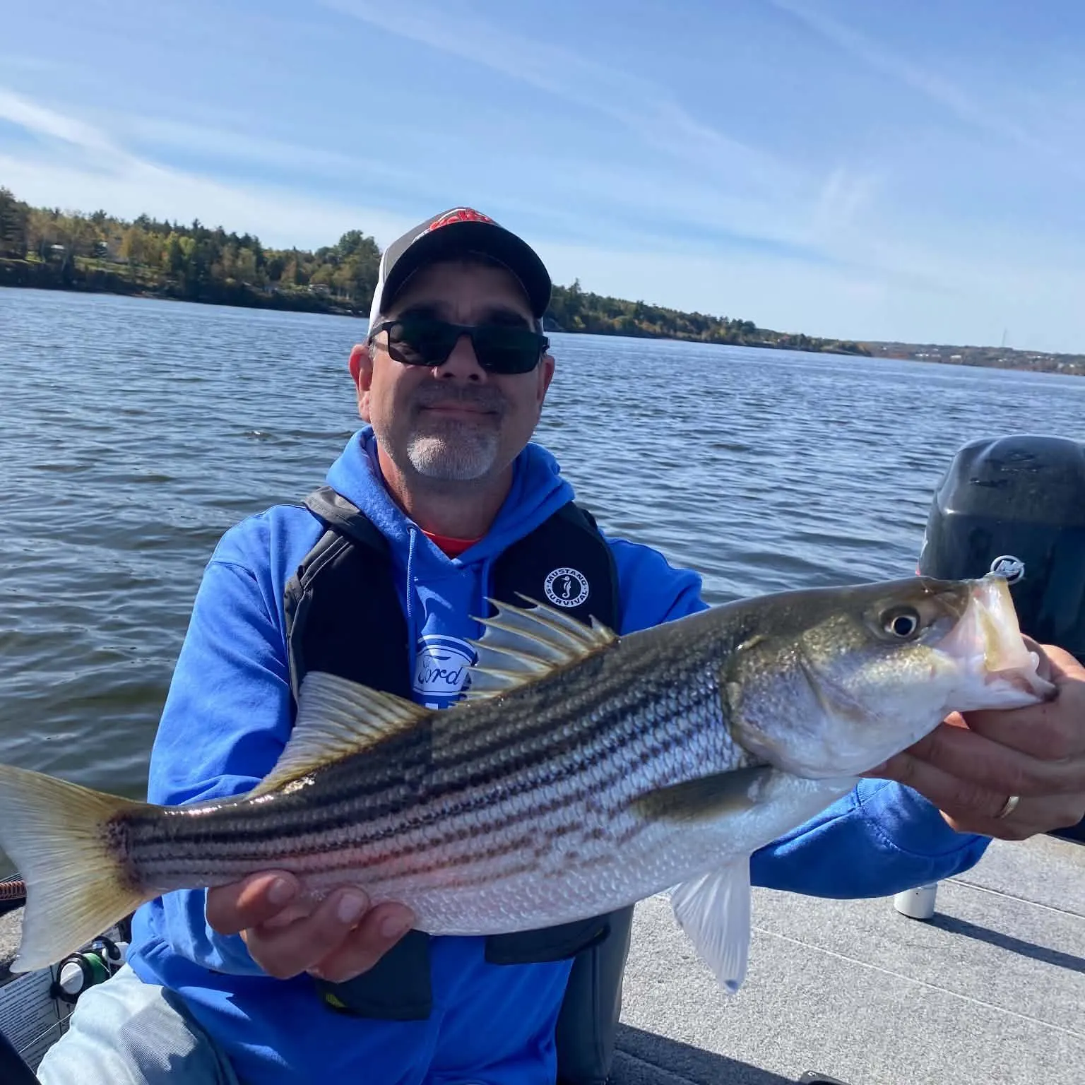 Striped bass caught on Fishbrain