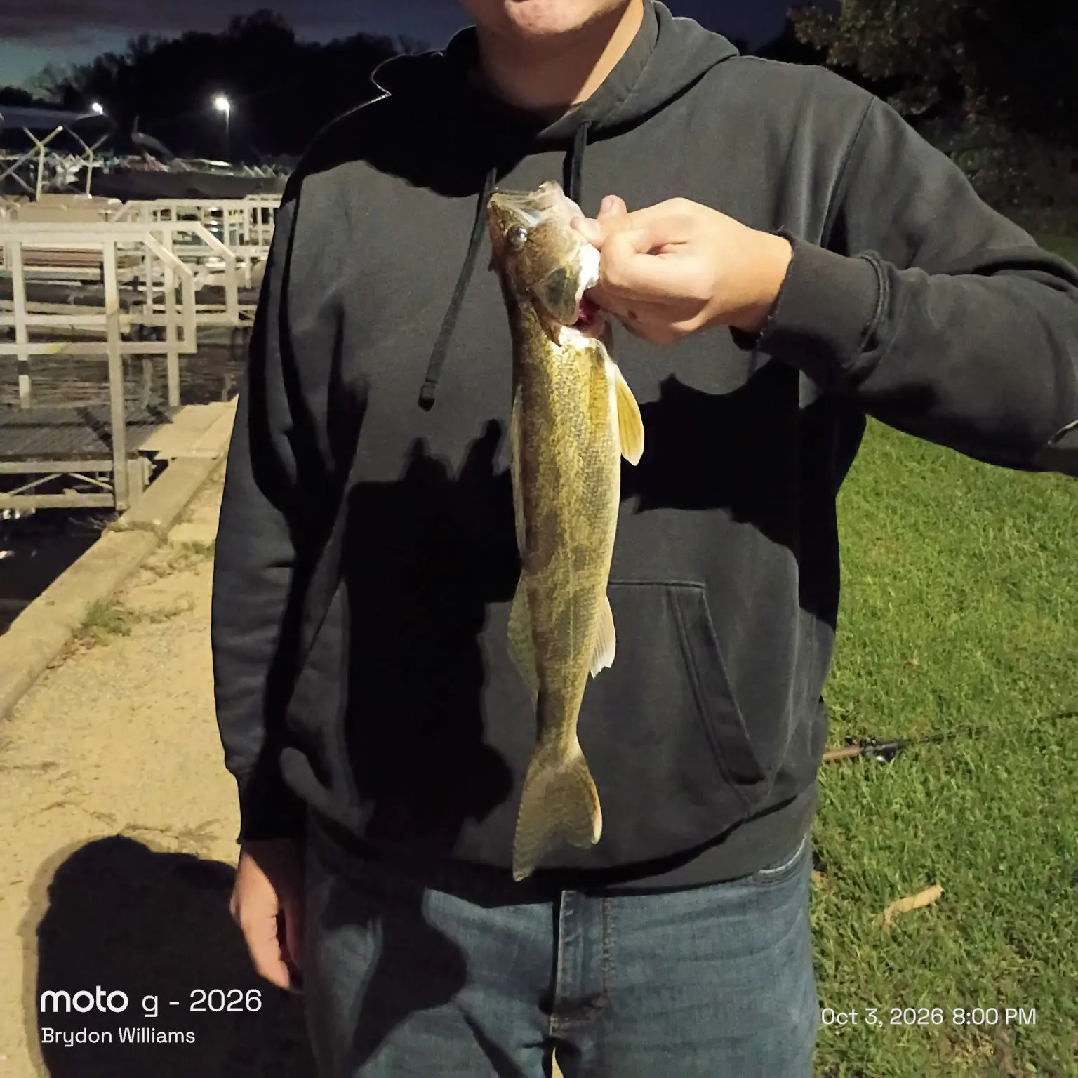 The most recent Saugeye catches on Fishbrain