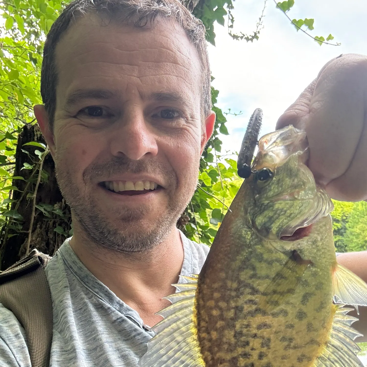 Black crappie caught on Fishbrain