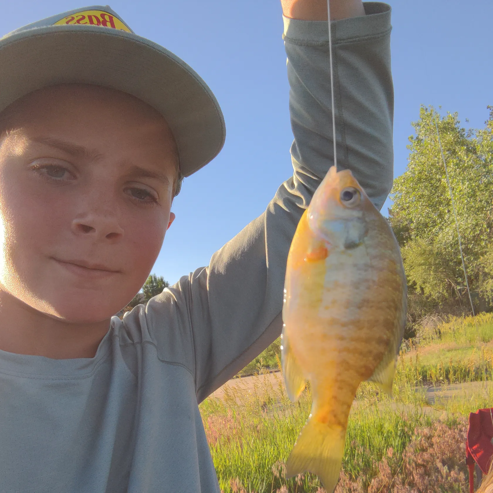 most liked catch image