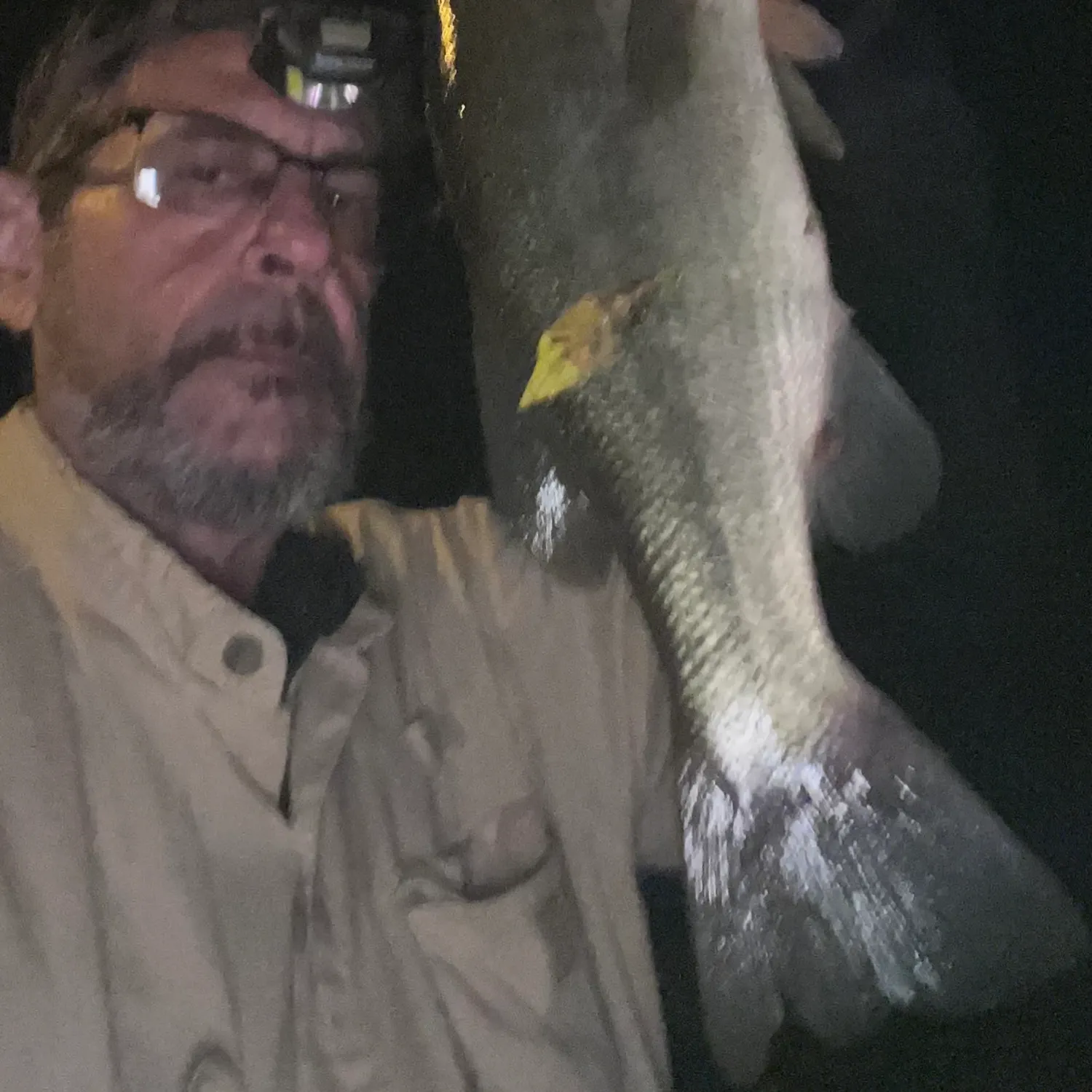Fish caught on Fishbrain