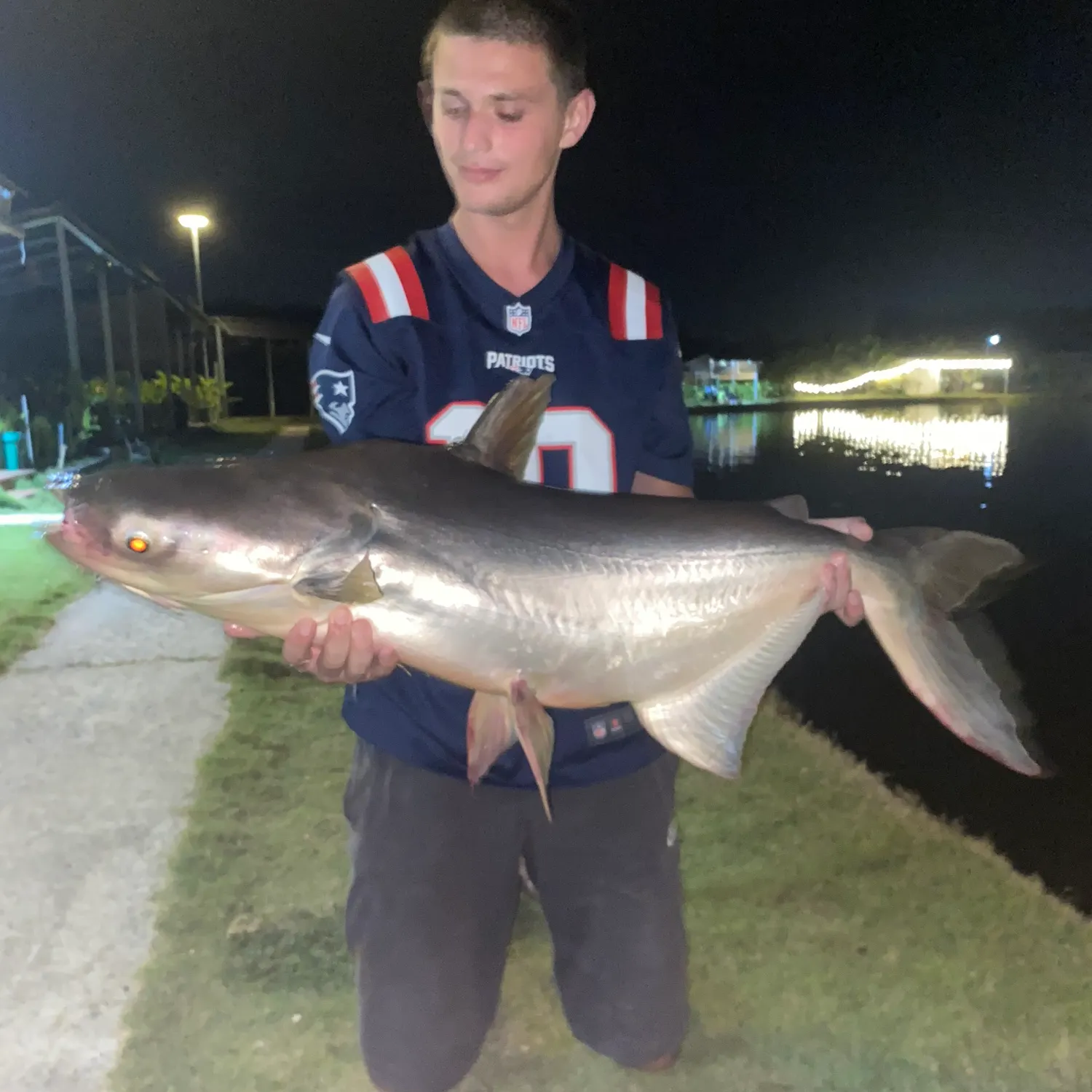 most liked catch image