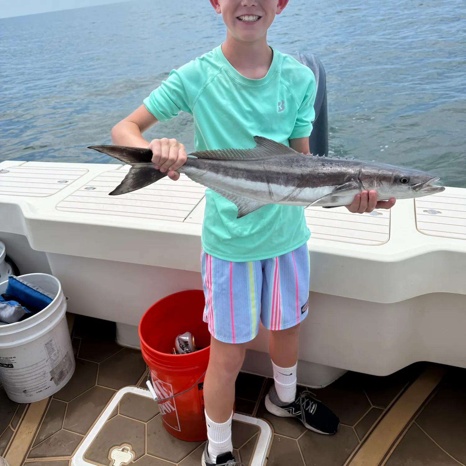 The most recent Cobia catches on Fishbrain