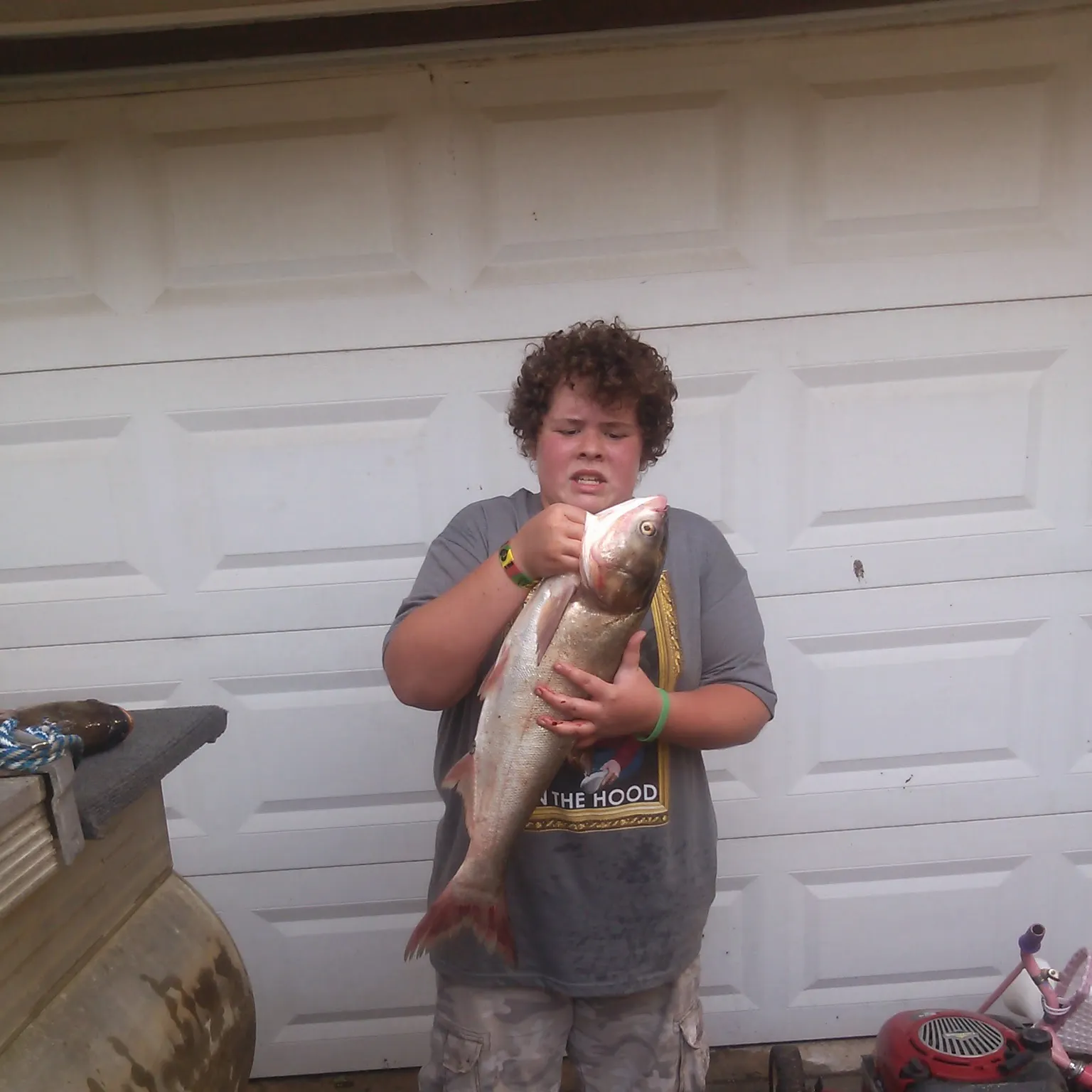 The most recent Bighead carp catches on Fishbrain