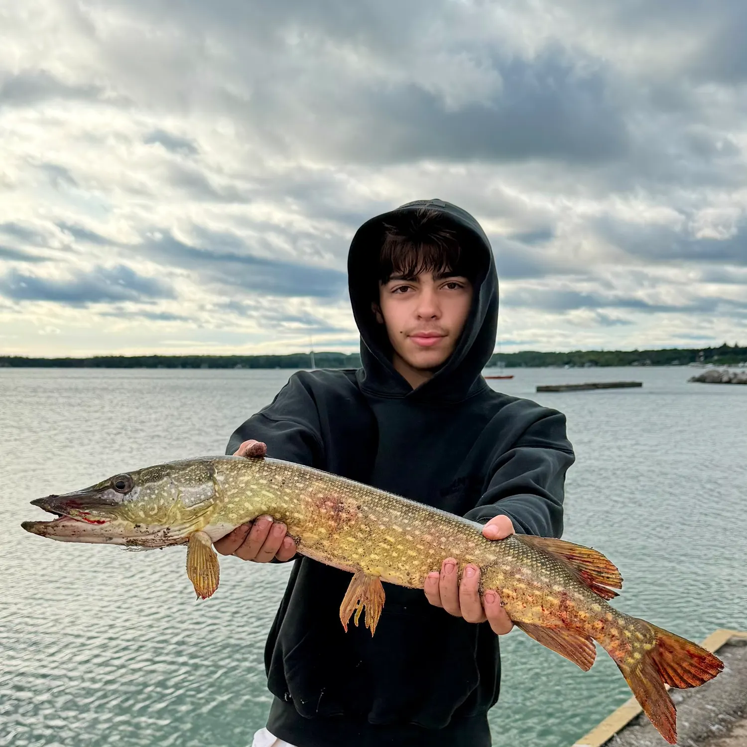 Northern pike caught on Fishbrain